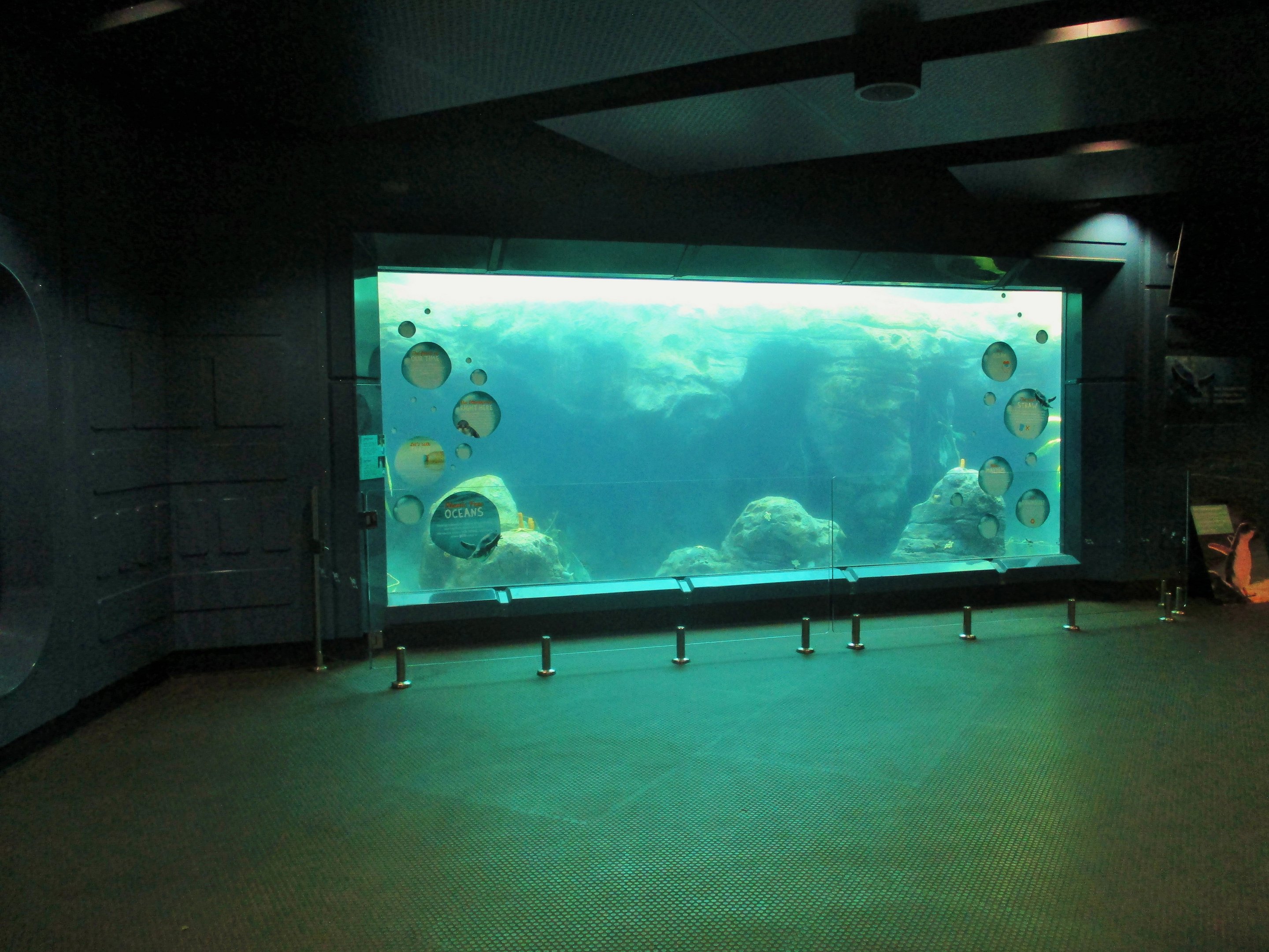 Great Southern Oceans- Penguin Viewing Window