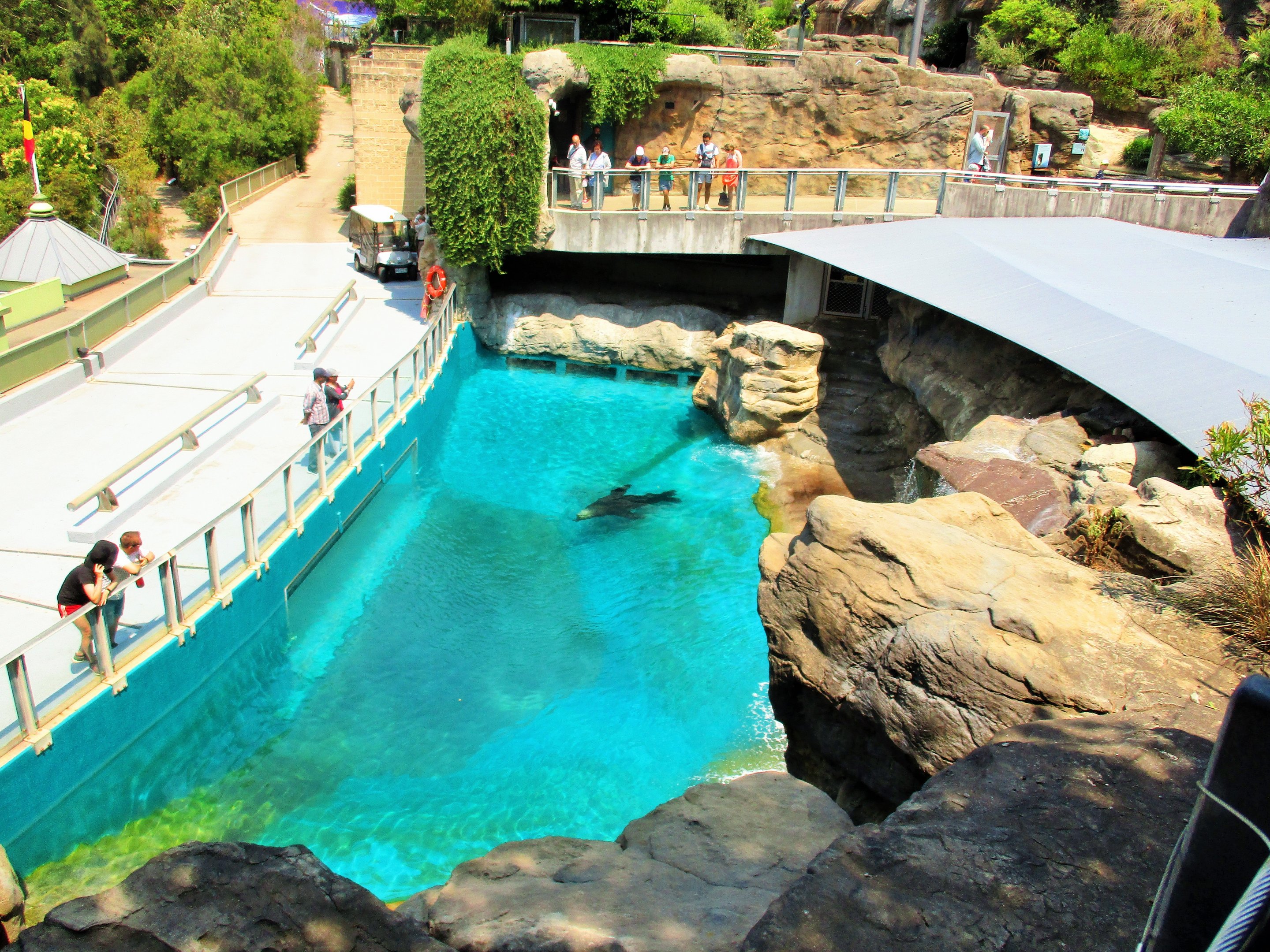 Great Southern Oceans- Sea Lion Enclosure