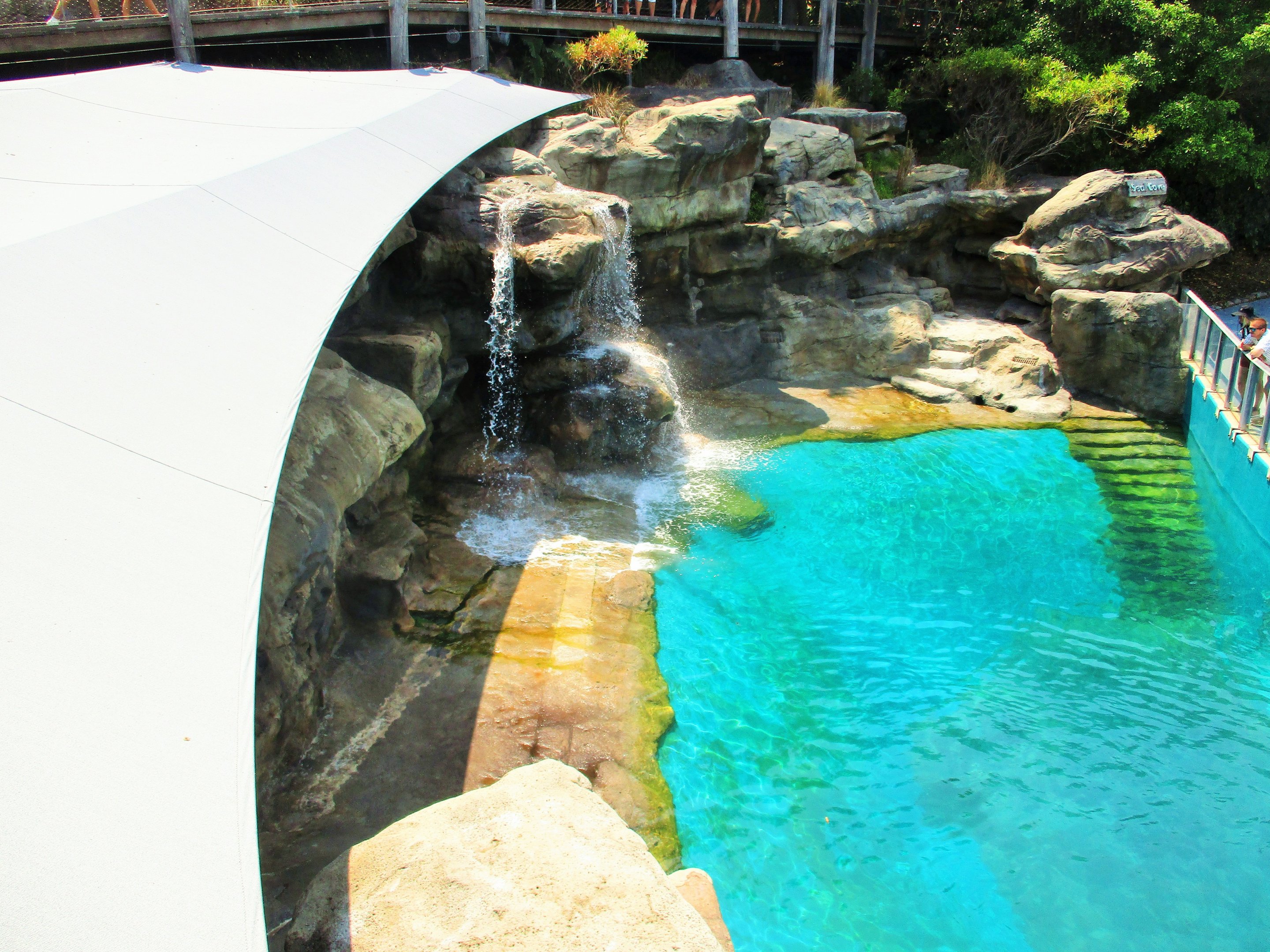 Great Southern Oceans- Seal Enclosure