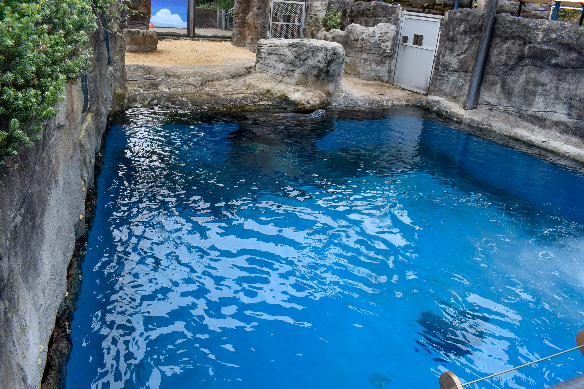 Great Southern Oceans - Seal Harbour