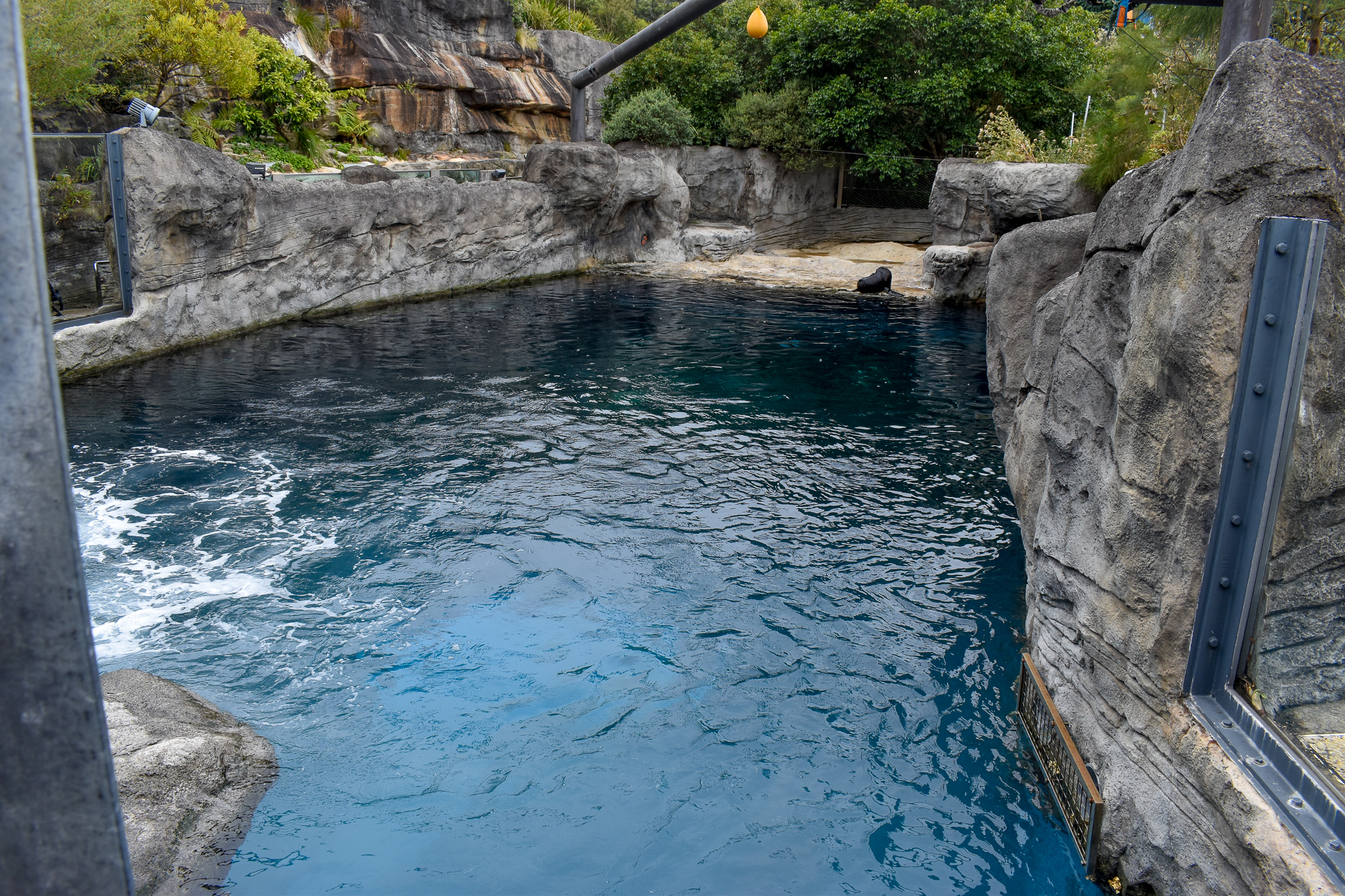 Great Southern Oceans - Seal Harbour