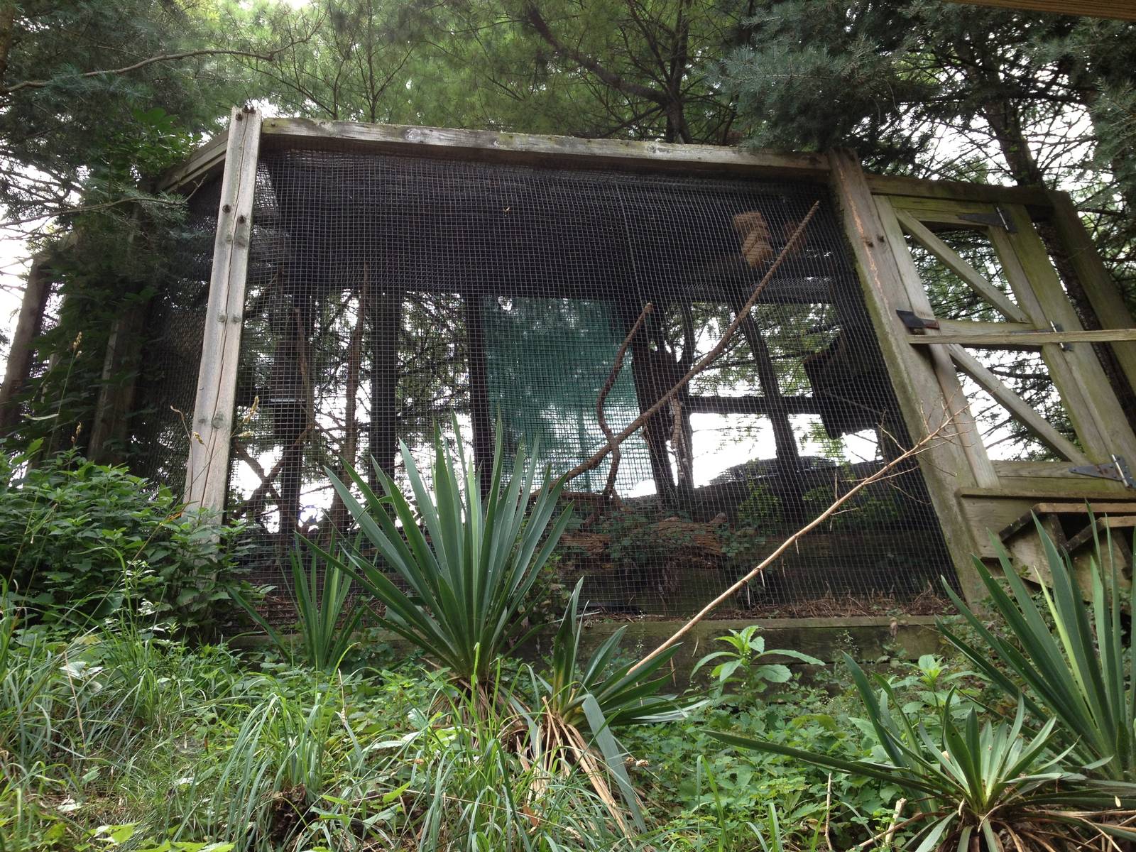 Great Southwest- Thick-Billed Parrot Exhibit