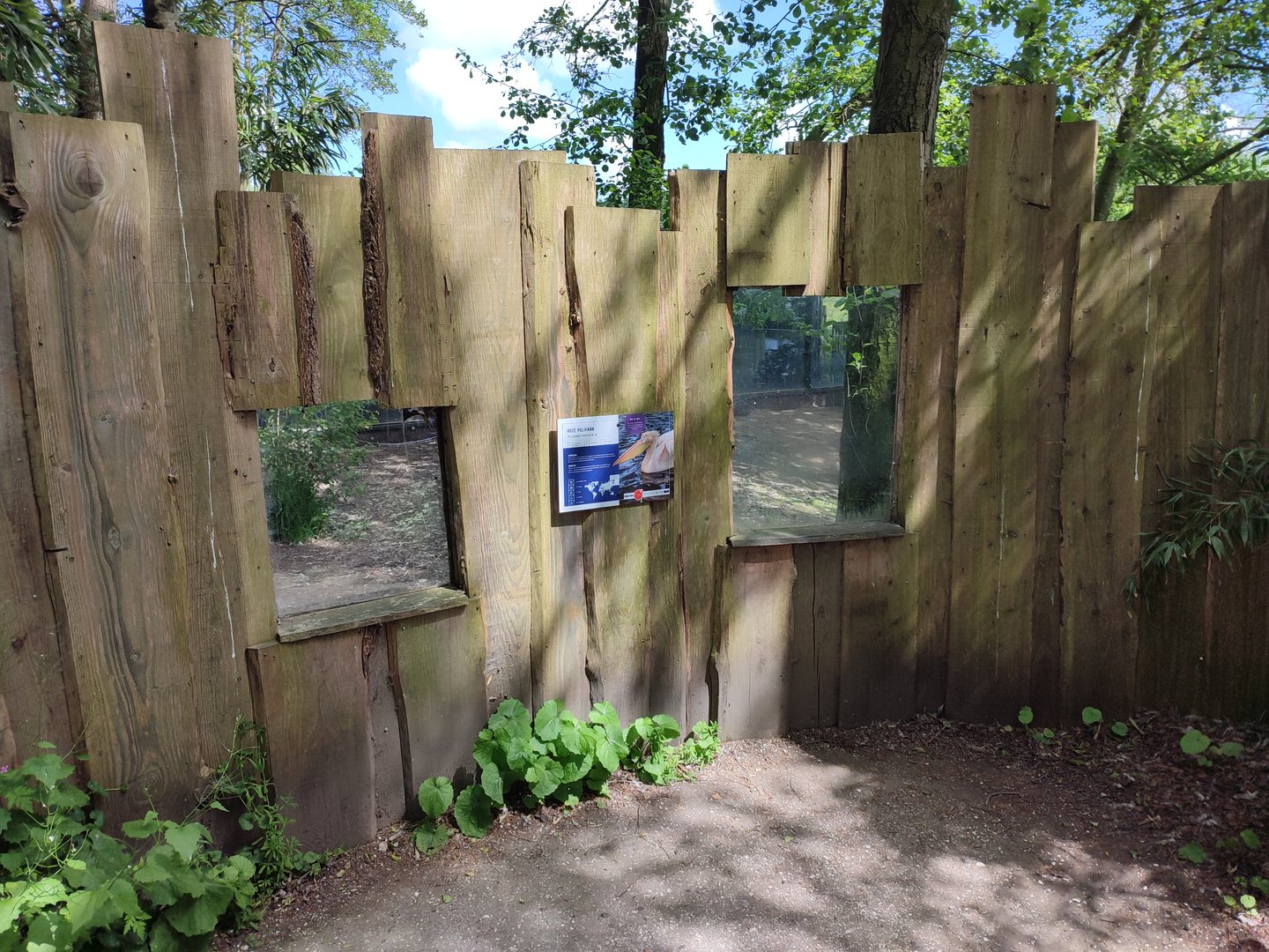 Great white pelican enclosure - viewing point at indoor enclosure and beach