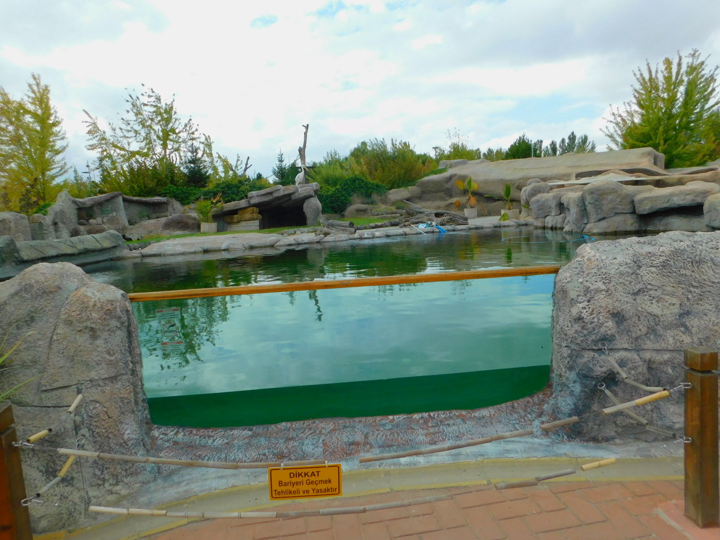 Great White Pelican Enclosure