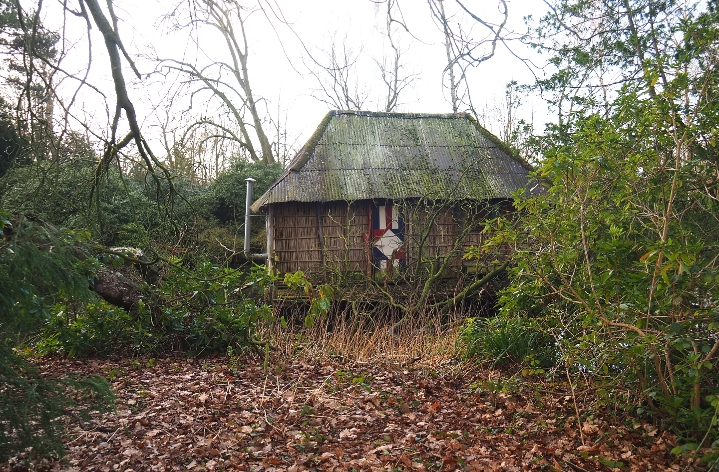 Great white pelican house, 2022-01-30