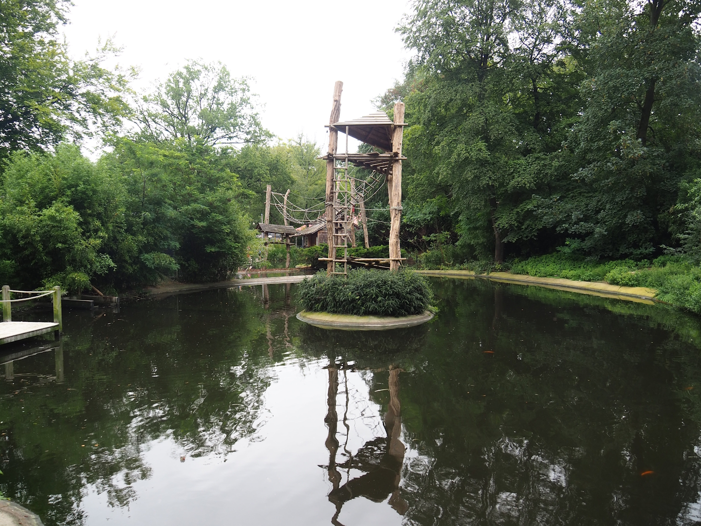 Great white pelican pond and Lar gibbon island, 2023-08-17