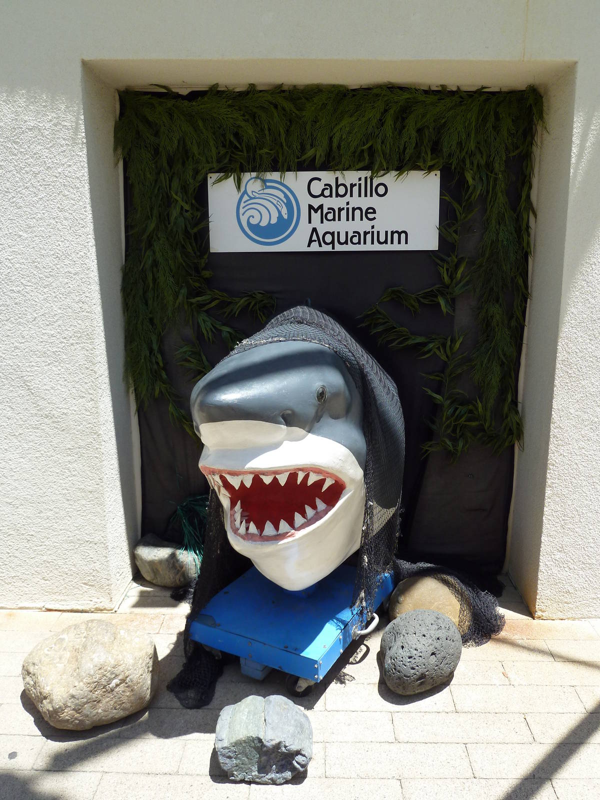 Great White Shark Statue