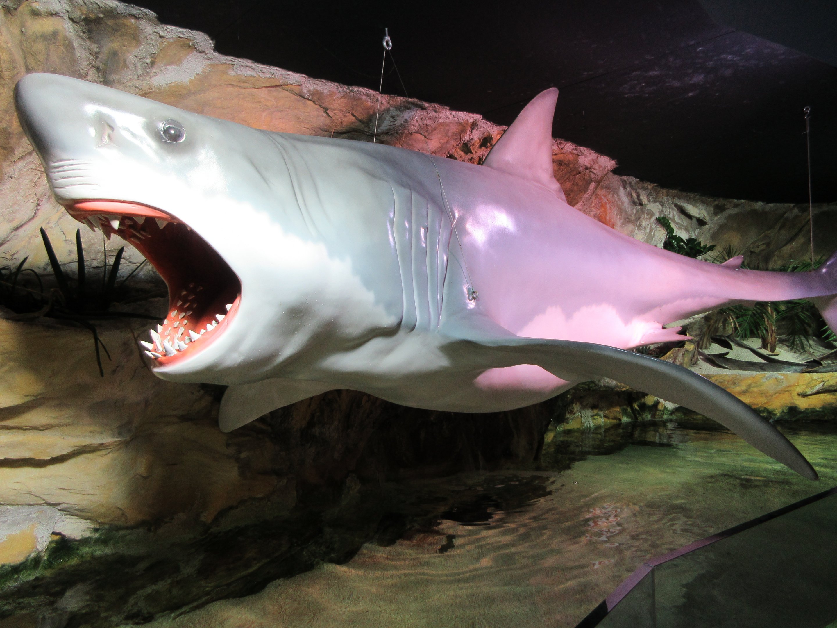Great White Shark Statue