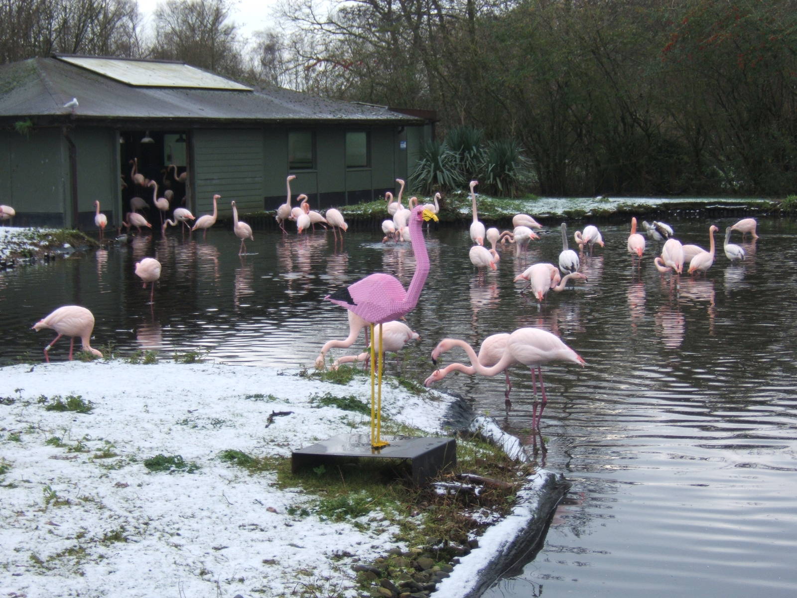 Greater and Lego Flamingo