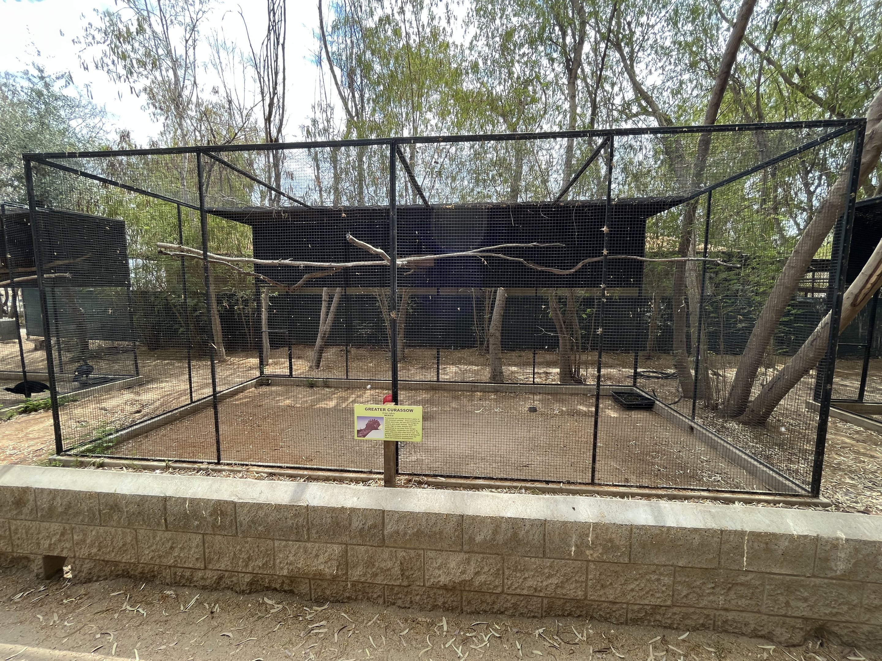 Greater Curassow Aviary