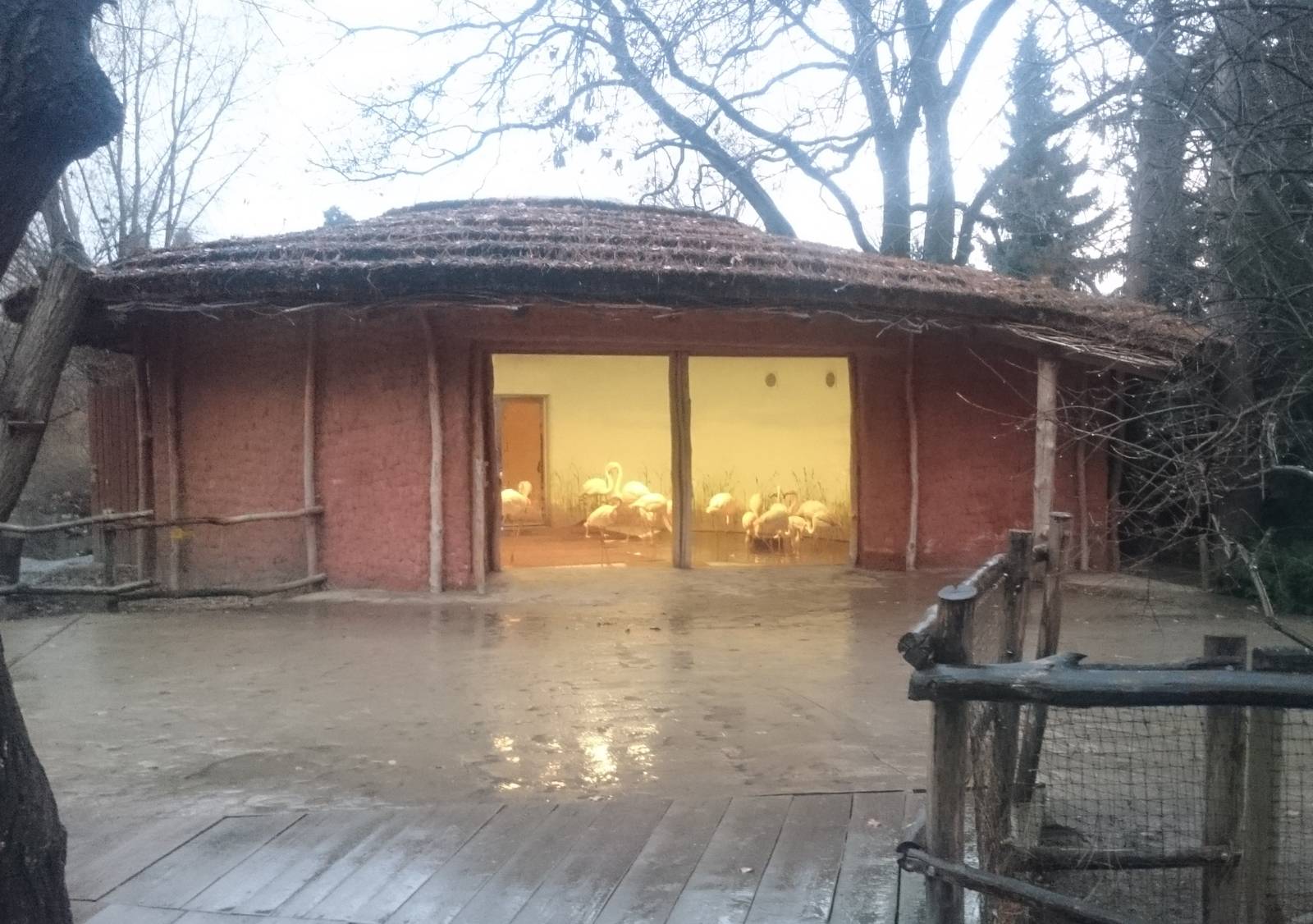 Greater flaming indoor enclosure