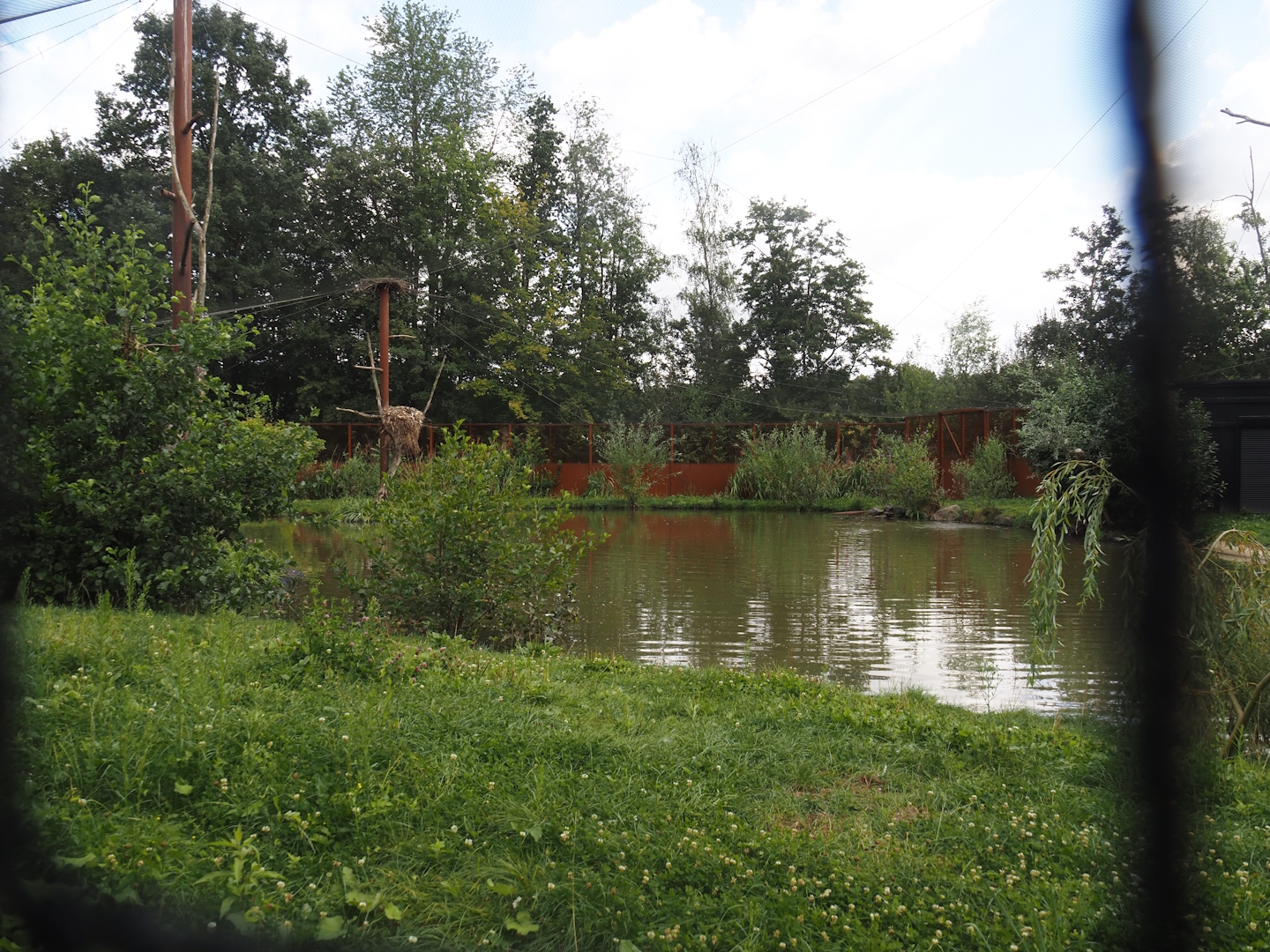 Greater flamingo and African bird aviary, 2024-08-21