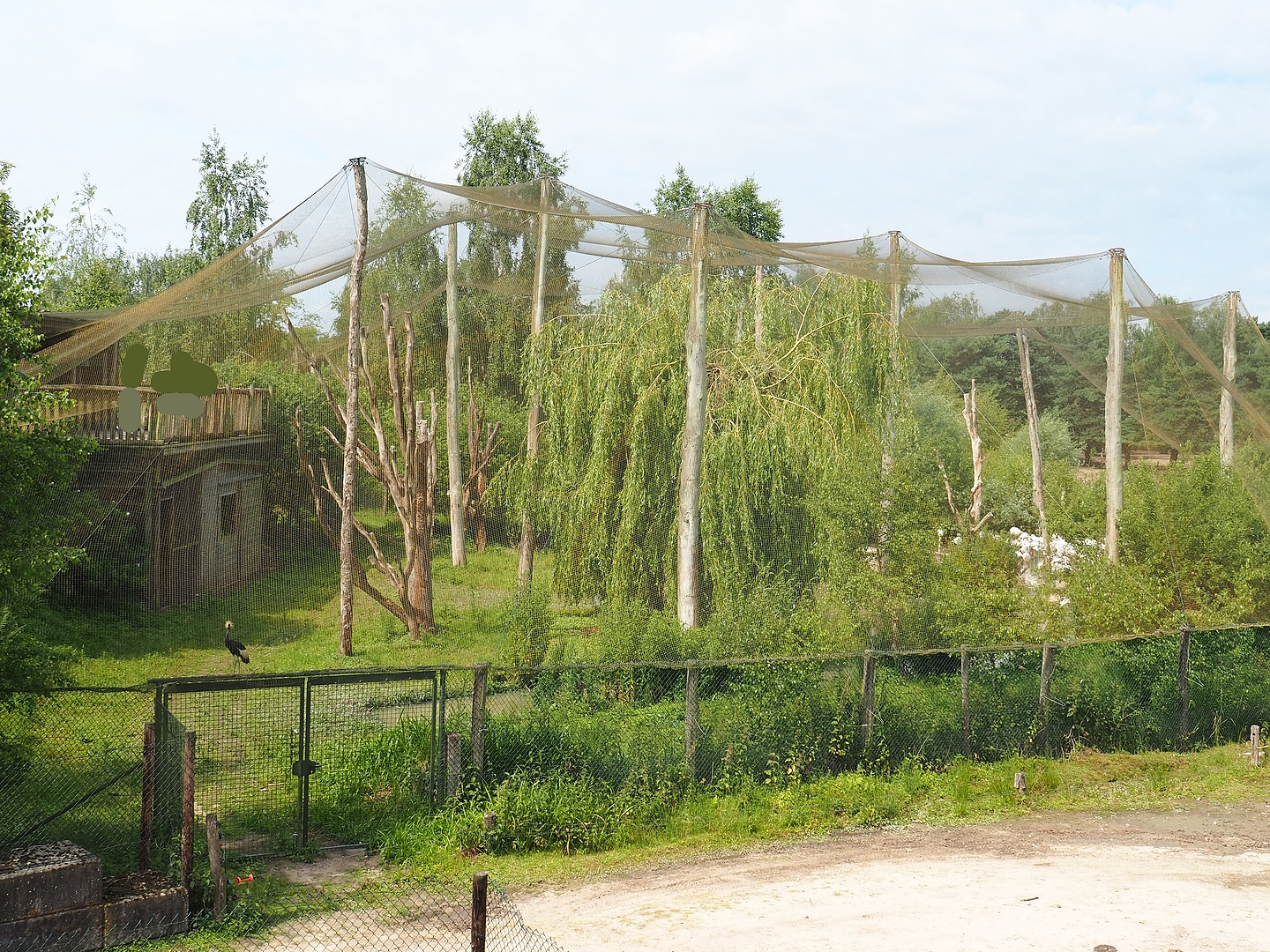 Greater flamingo and Black crowned crane aviary, 2022-06-12