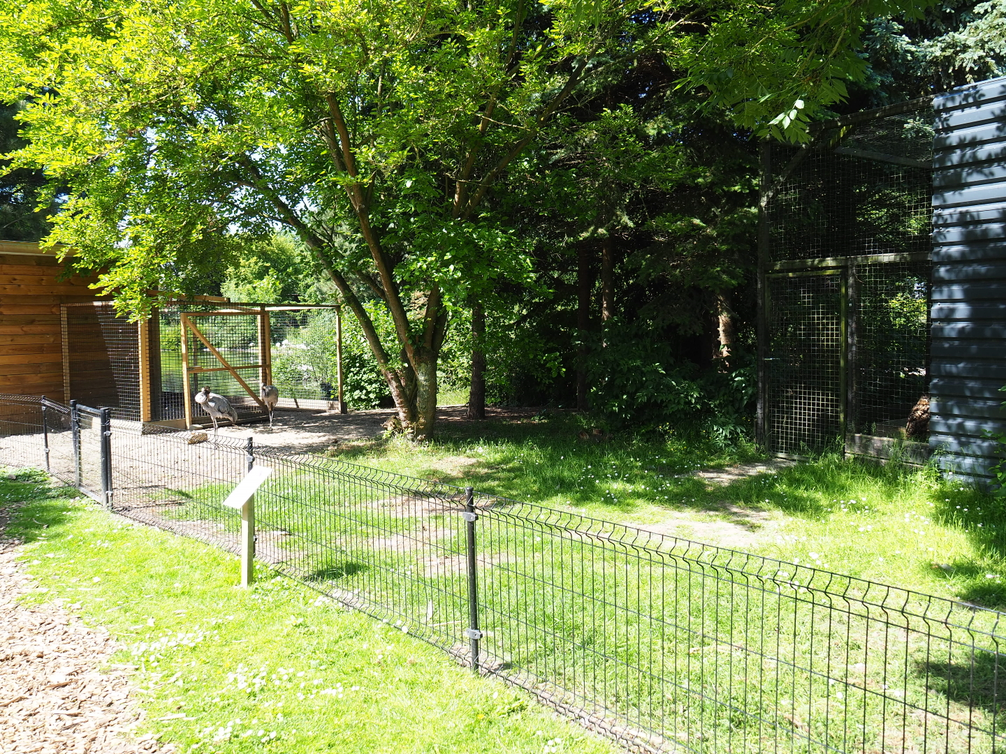 Greater flamingo and Eurasian crane exhibit land area, 2019-06-01