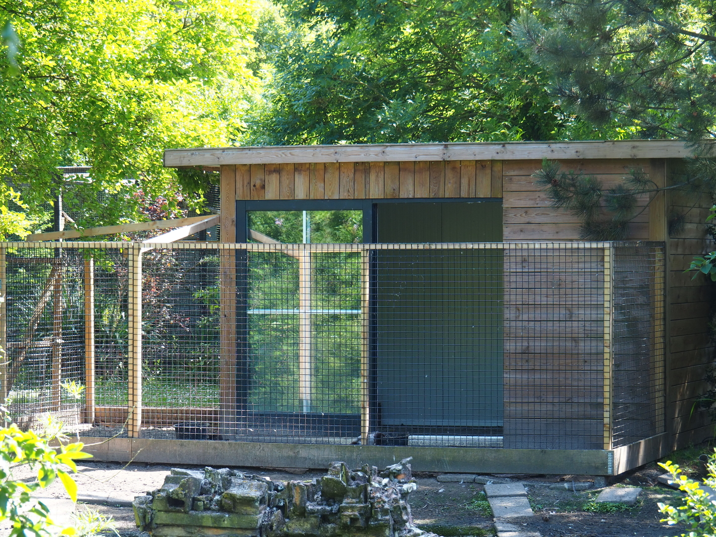 Greater flamingo and Eurasian crane holding building, 2019-06-01