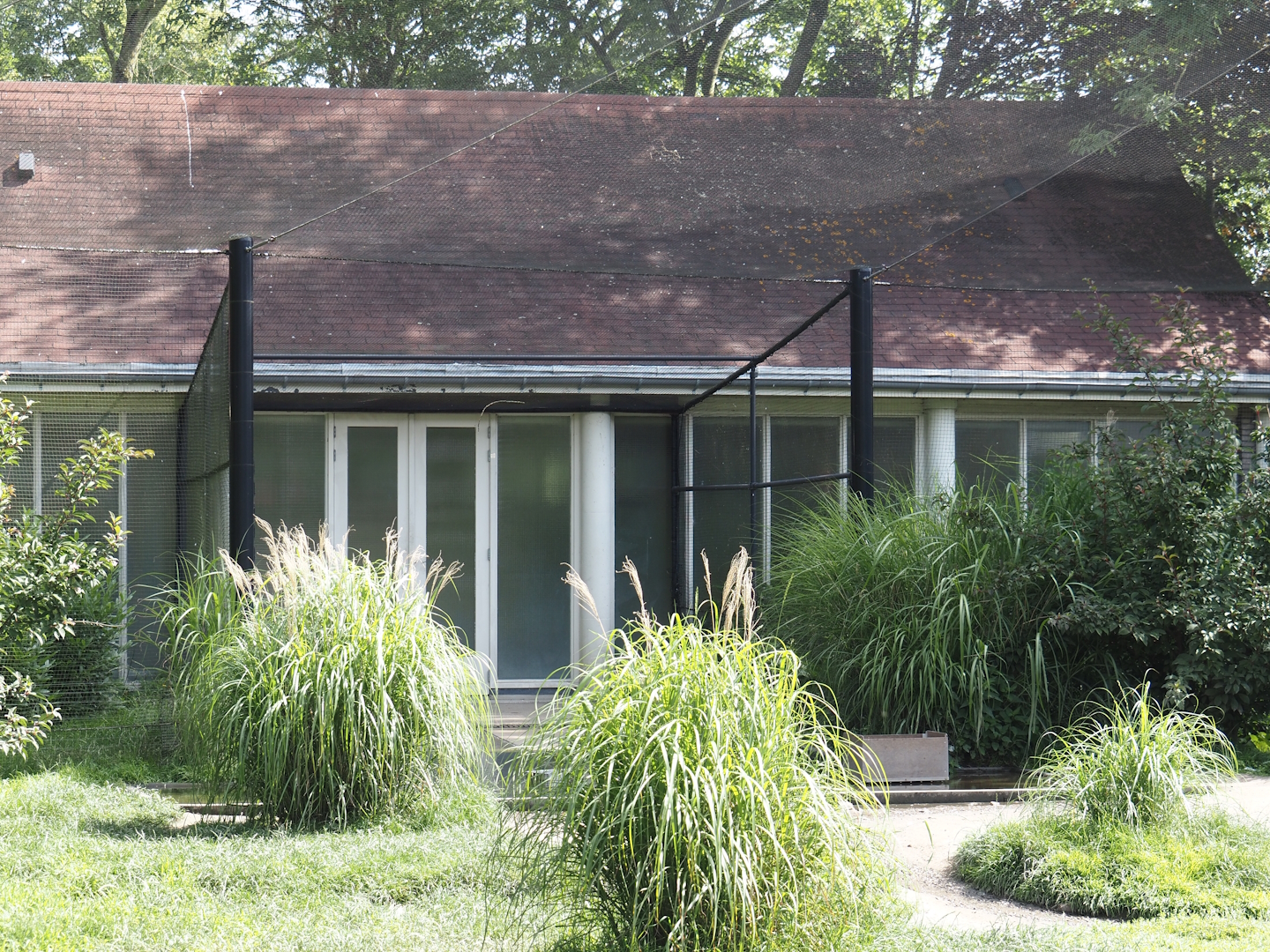 Greater flamingo and waterfowl building, 2024-06-30