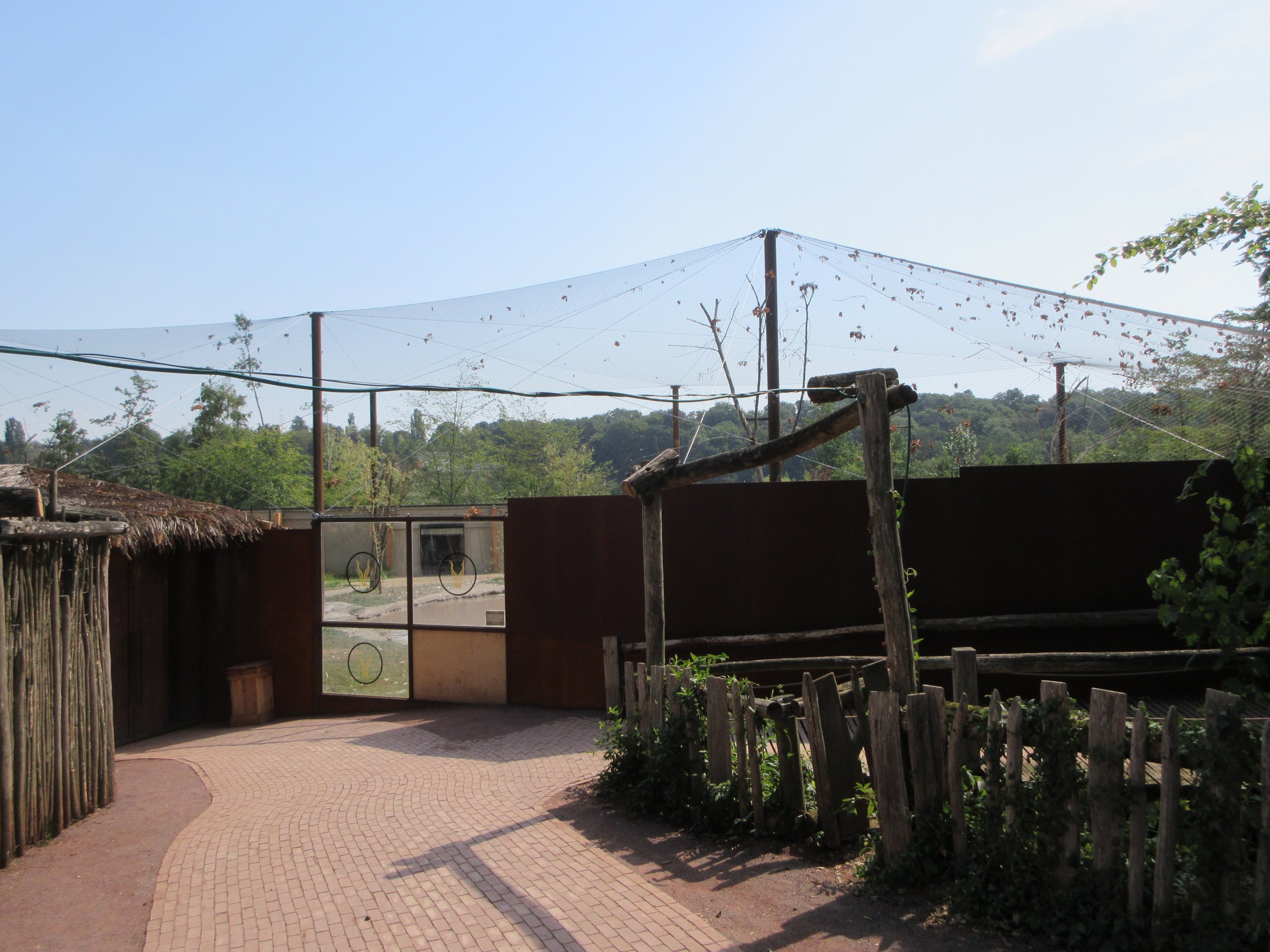 Greater Flamingo Aviary (New in 2019)