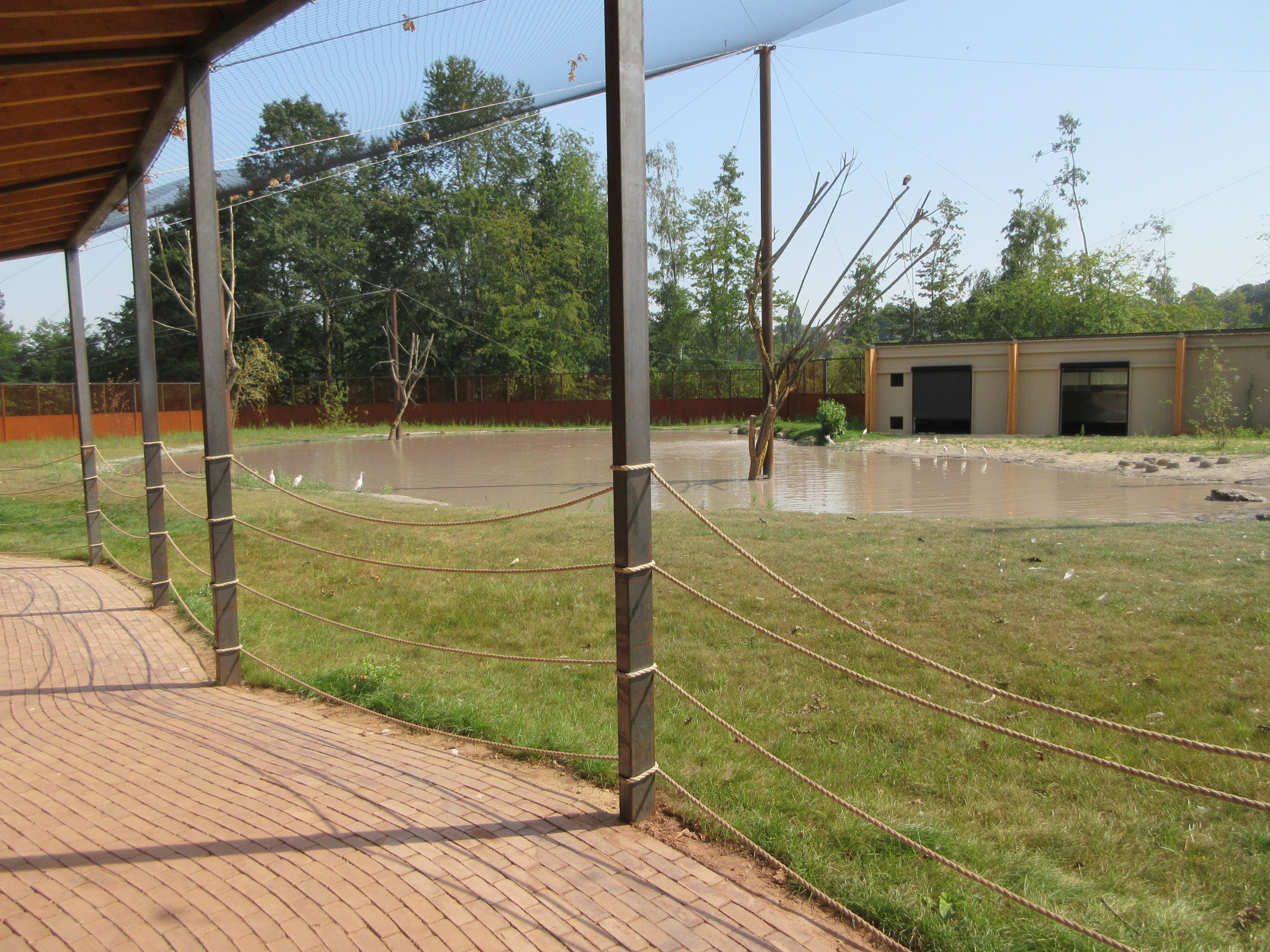 Greater Flamingo Aviary (New in 2019)