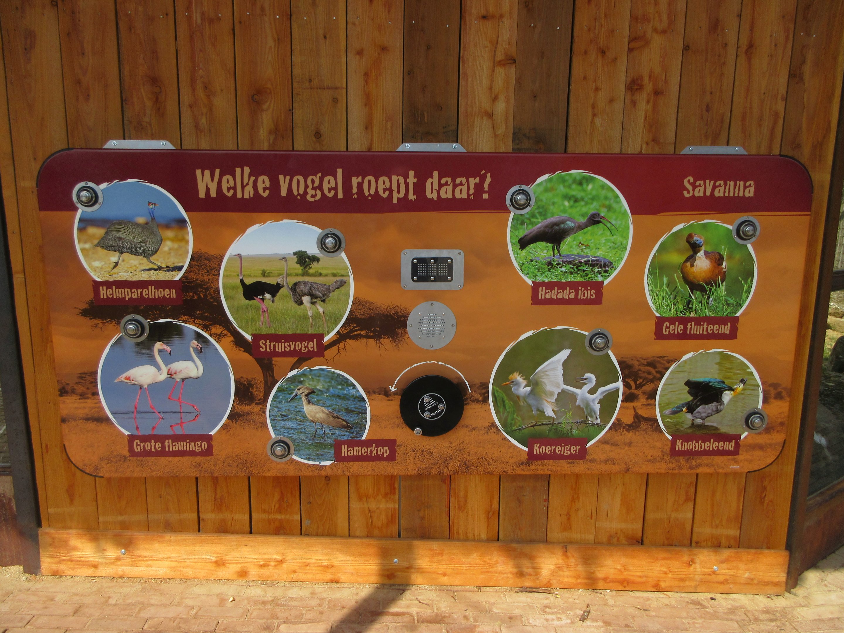 Greater Flamingo Aviary (New in 2019)