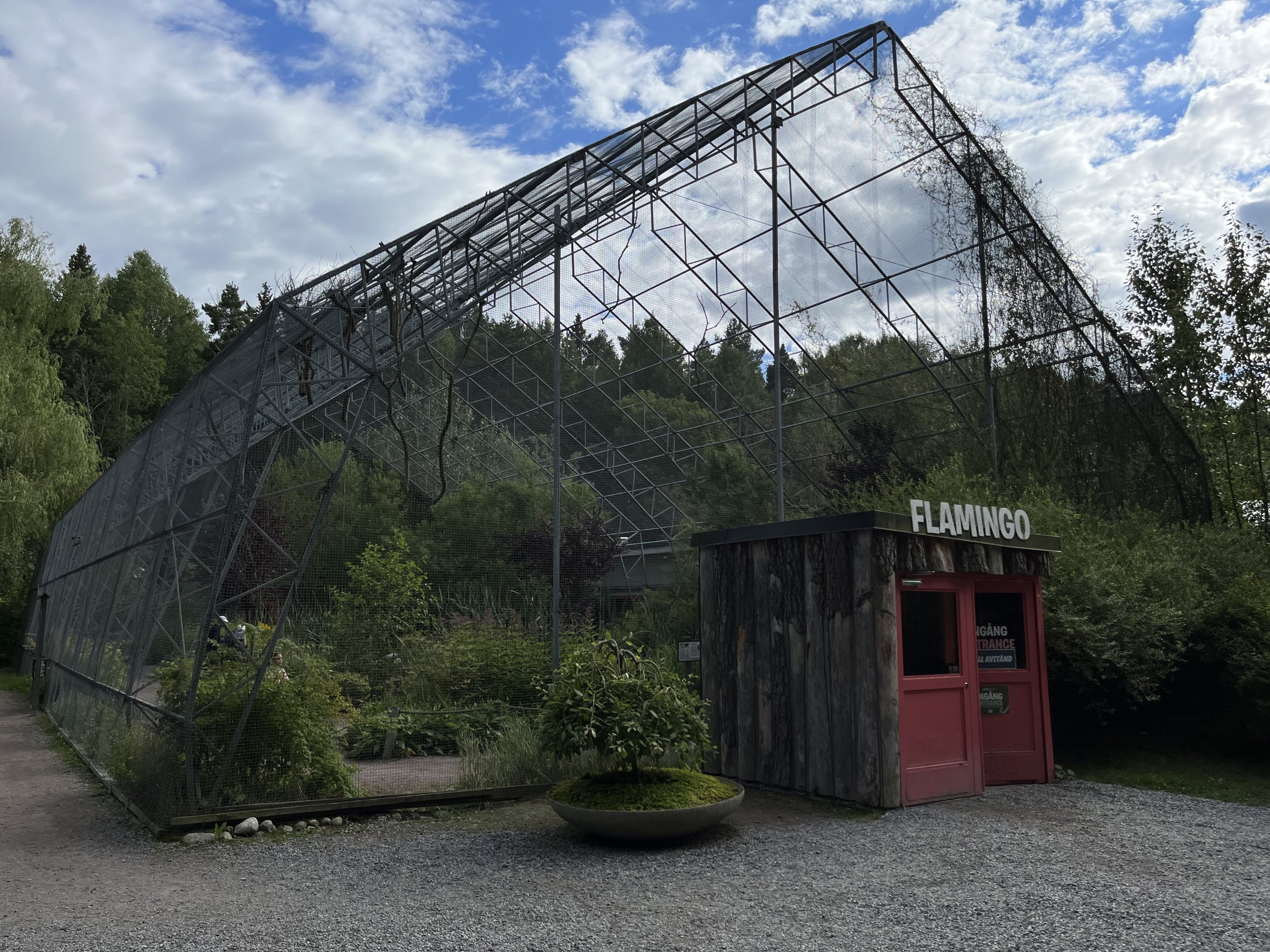 Greater Flamingo Aviary