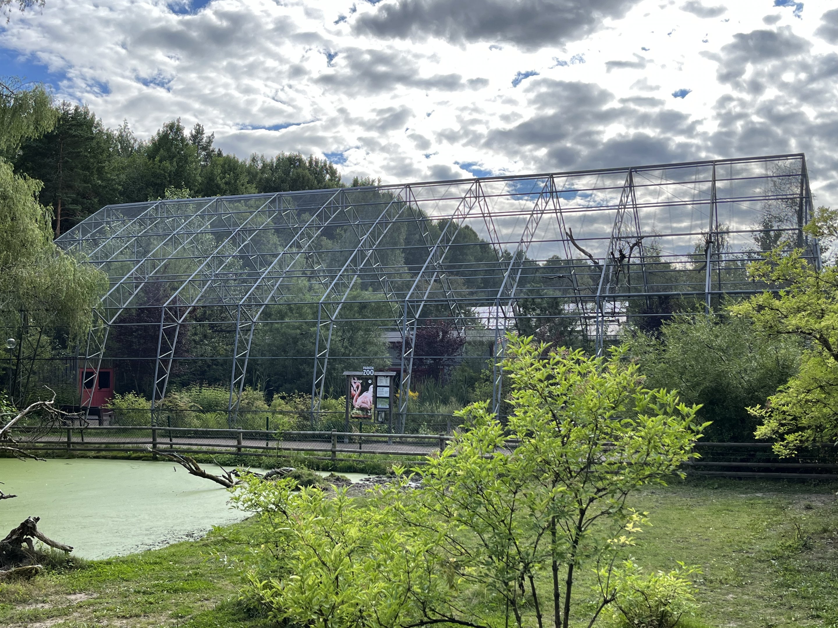 Greater Flamingo Aviary