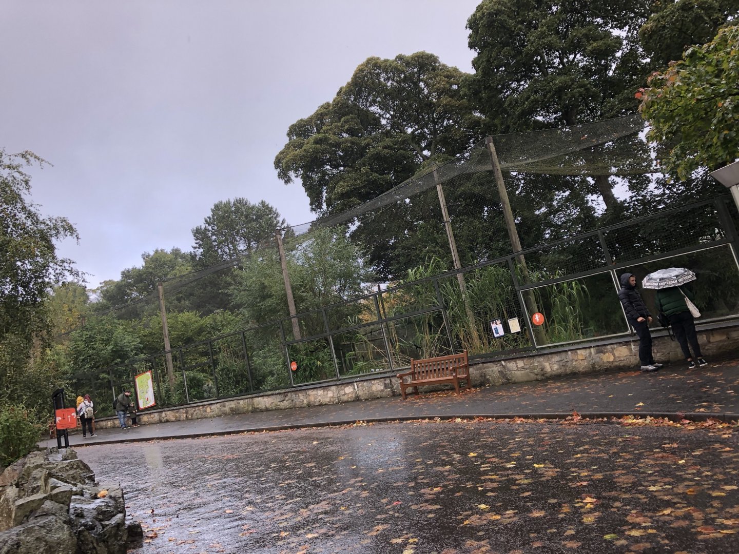 Greater Flamingo Enclosure at Edinburgh Zoo (2020)