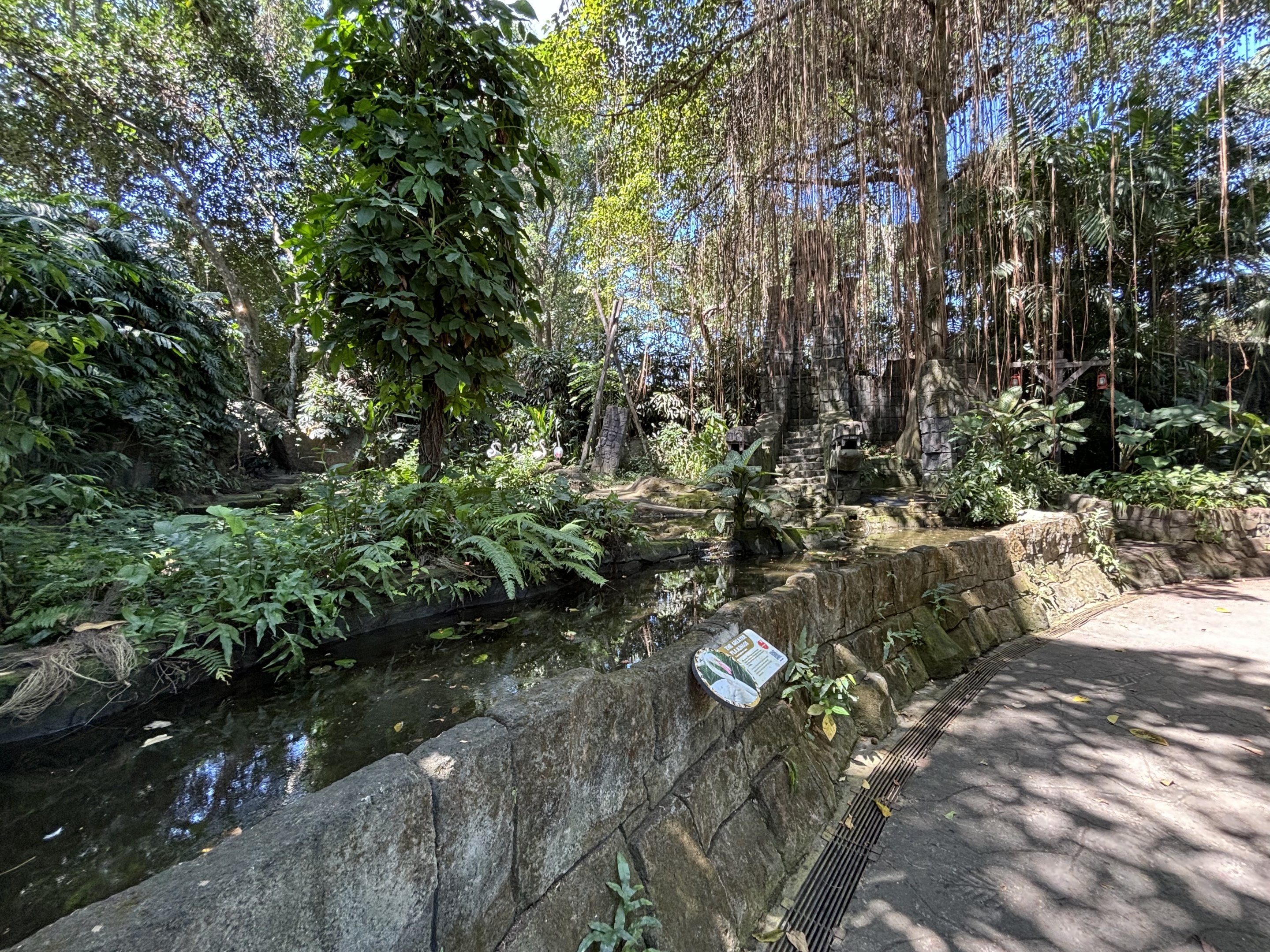 Greater Flamingo Exhibit