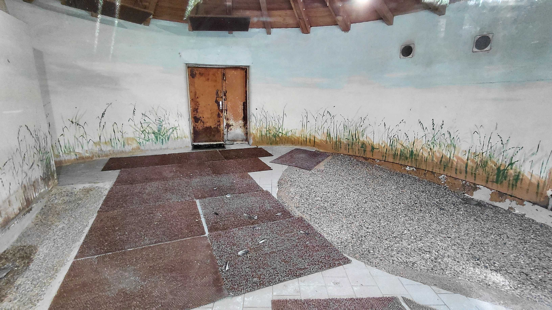 Greater flamingo indoor exhibit