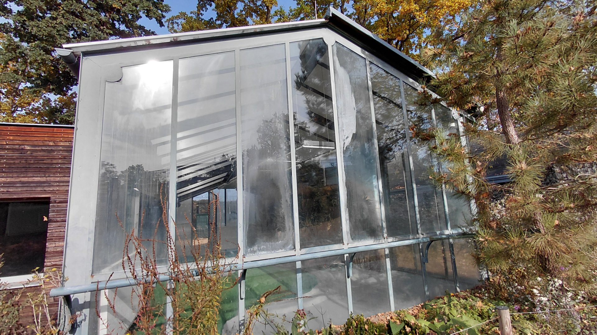 Greater flamingo indoor exhibit