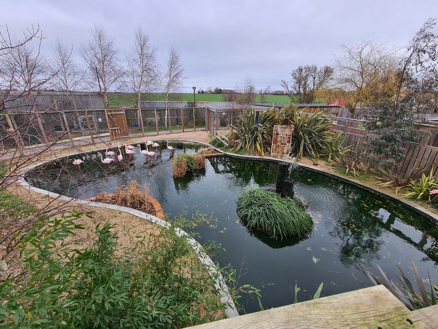 Greater Flamingo Lake, Fenn Bell