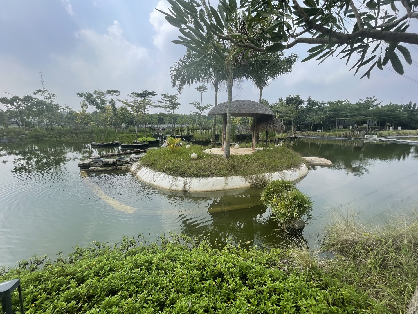 greater flamingo pond - aviary park