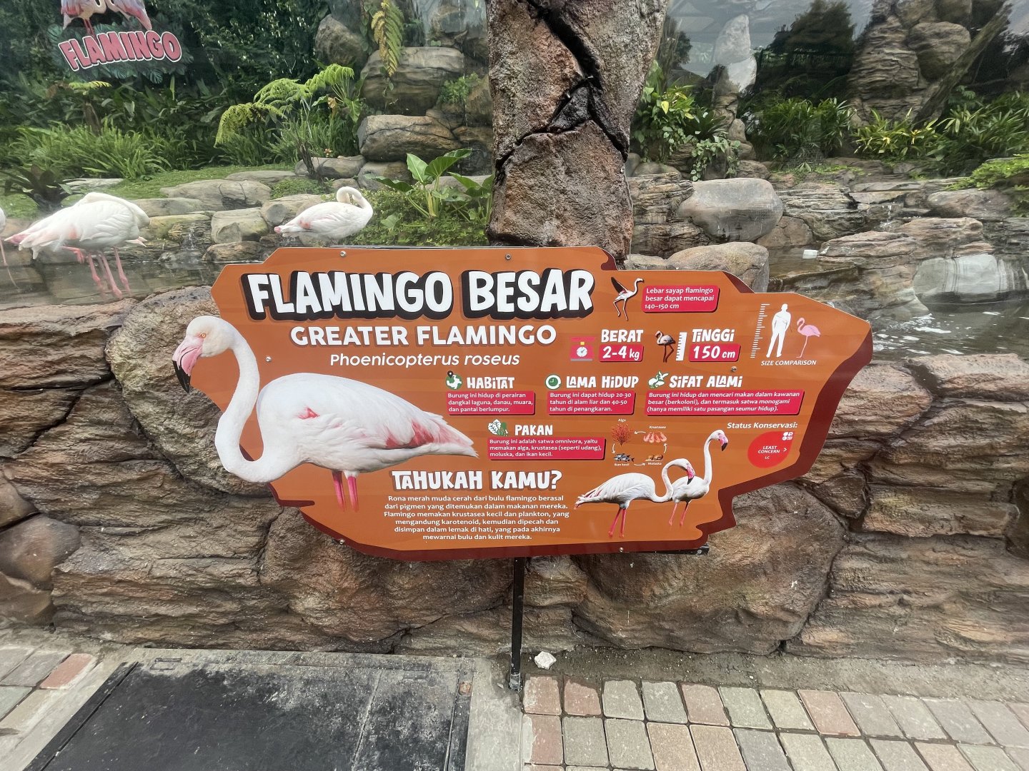 greater flamingo signage