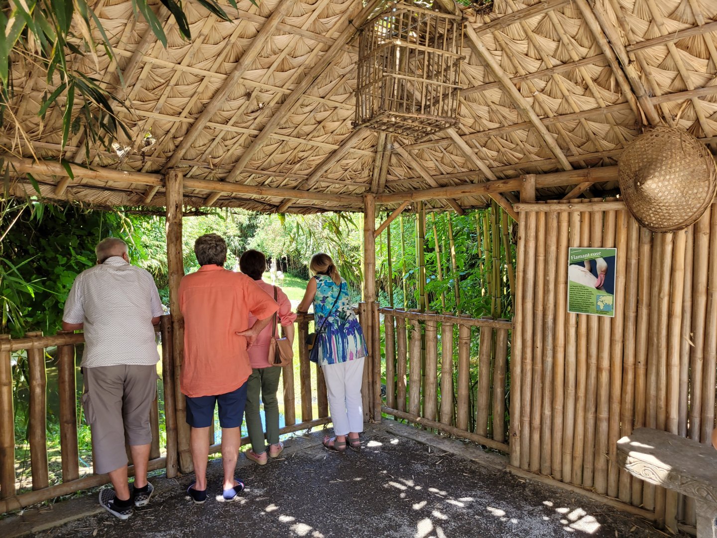 Greater flamingo viewing deck -Zoo d'Asson (2022)
