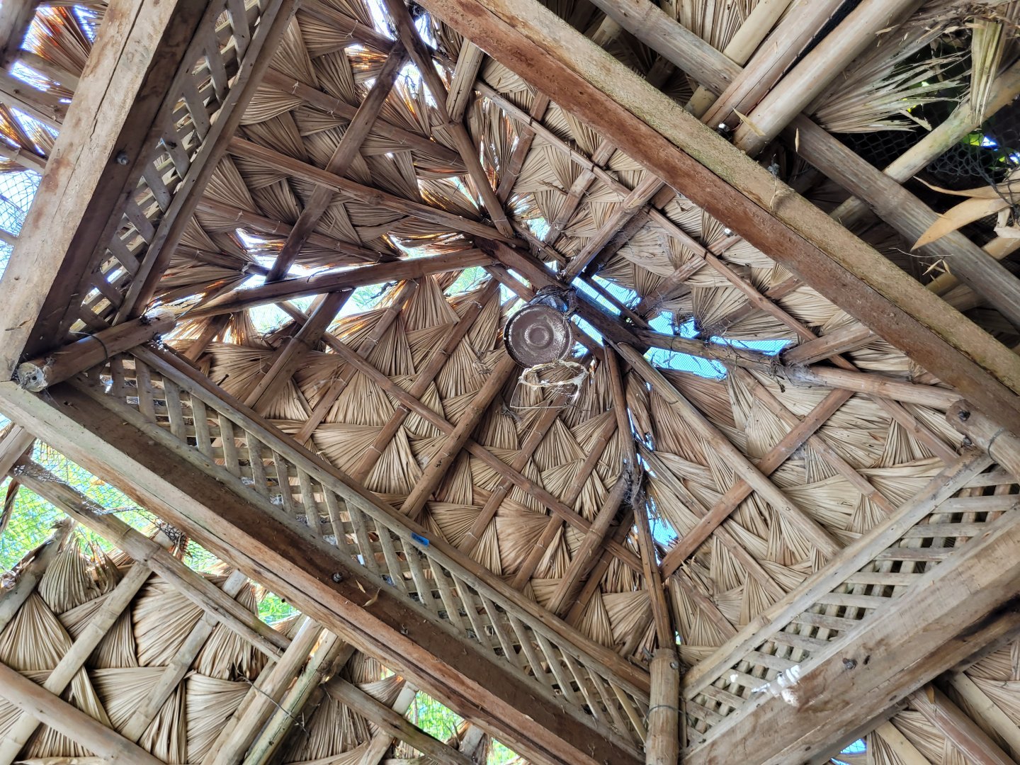 Greater flamingo viewing deck -Zoo d'Asson (2022)