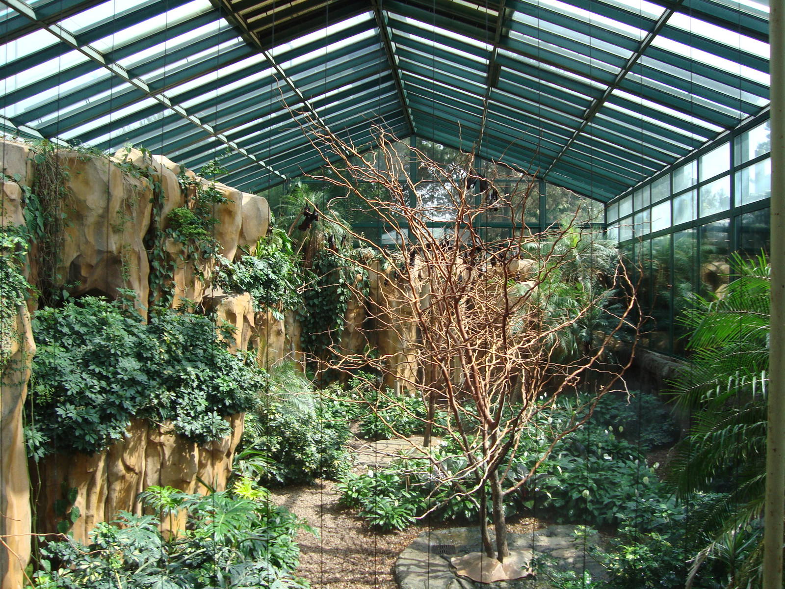 Greater Flying Fox exhibit