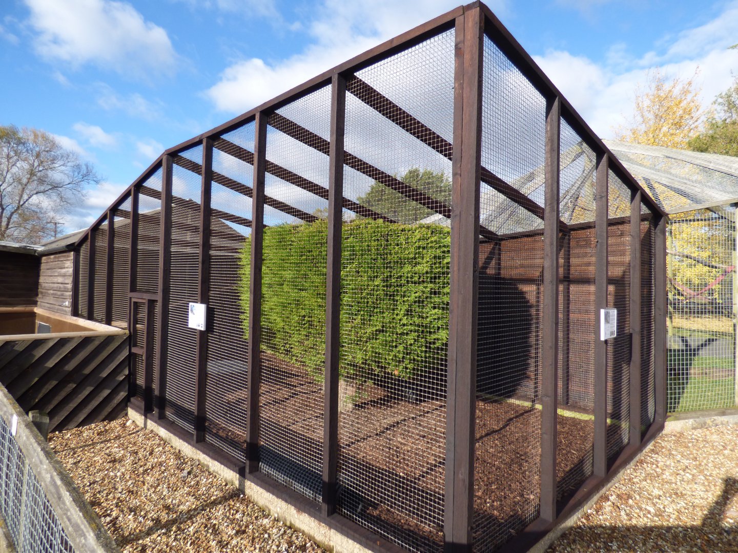 Greater Grison Enclosure