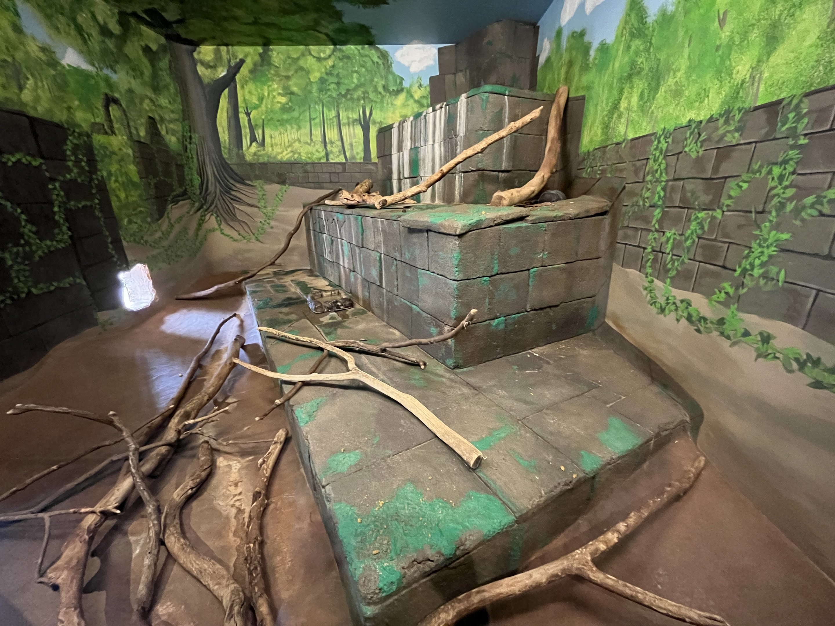 Greater Grison Indoor Exhibit