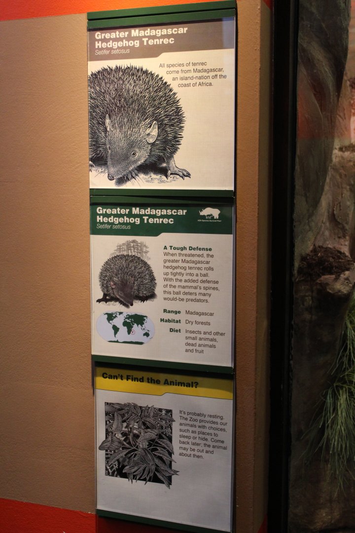 Greater hedgehog tenrec signage