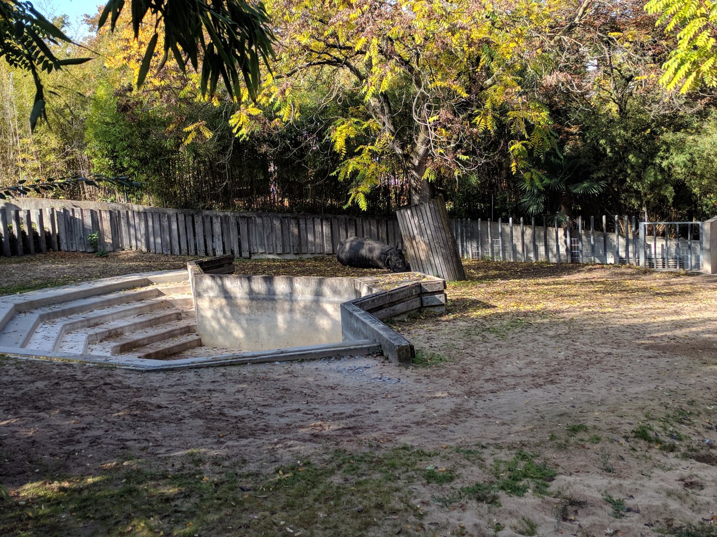 Greater Indian one horned rhinoceros Enclosure