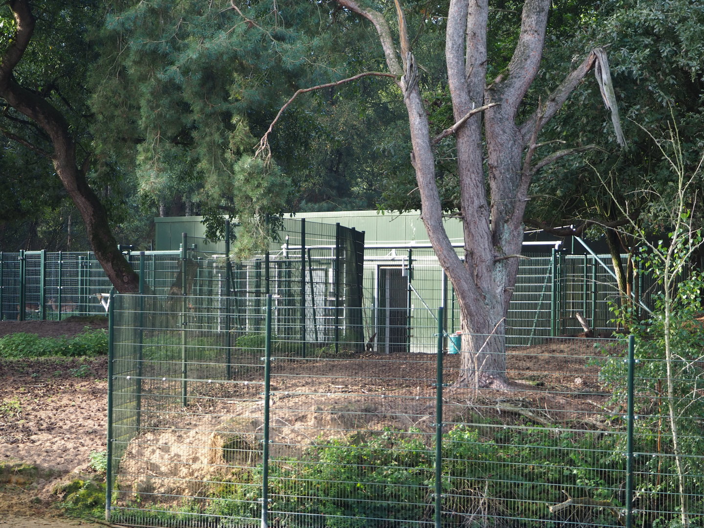 Greater kudu and impala stable and separation paddocks,  2019-09-15