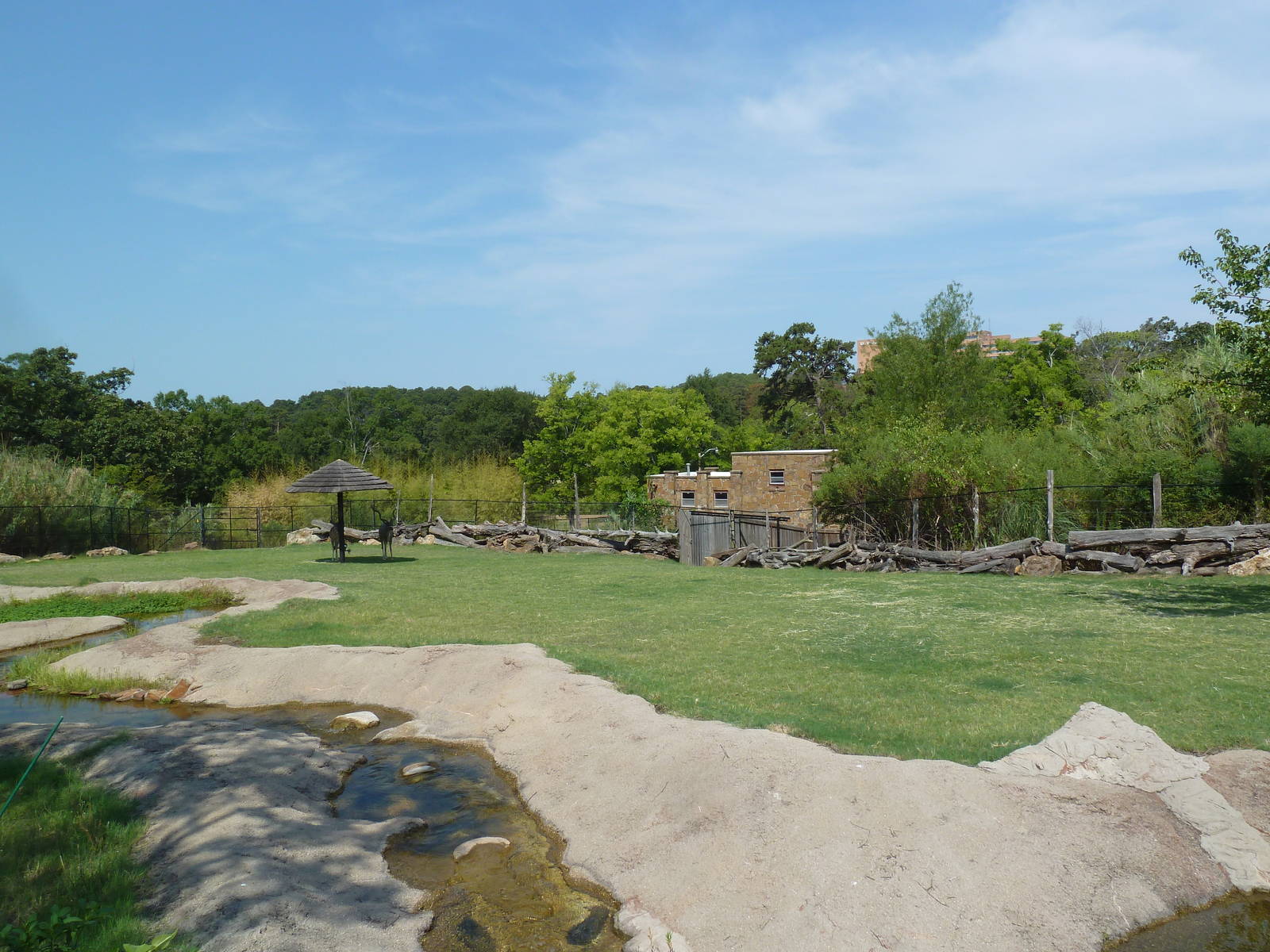Greater Kudu/Ankole Cattle/Crowned Crane Exhibit