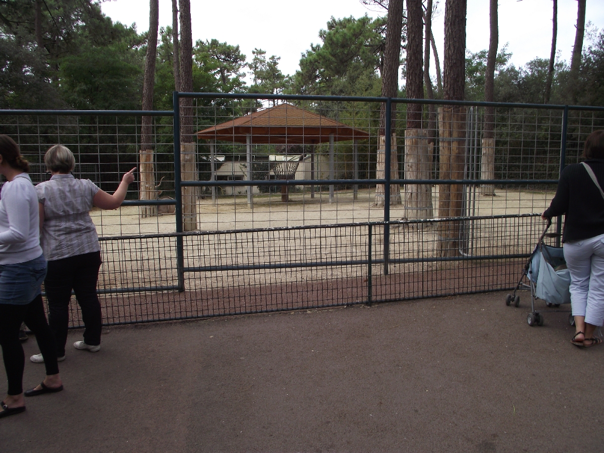 Greater Kudu Enclosure