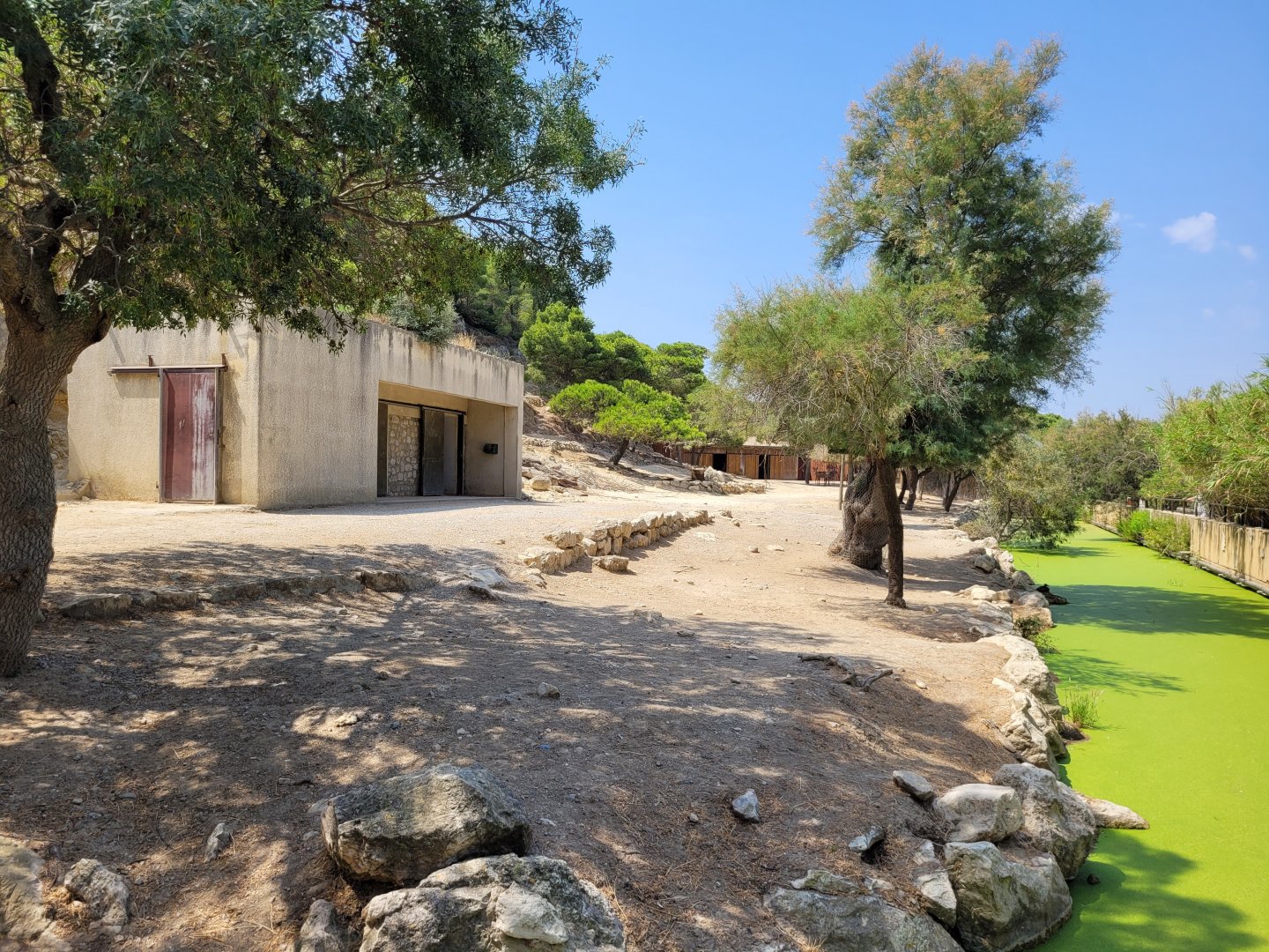 Greater kudu exhibit -Réserve Africaine de Sigean (2022)