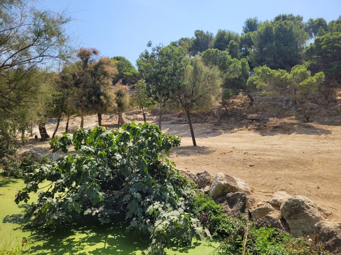 Greater kudu exhibit -Réserve Africaine de Sigean (2022)