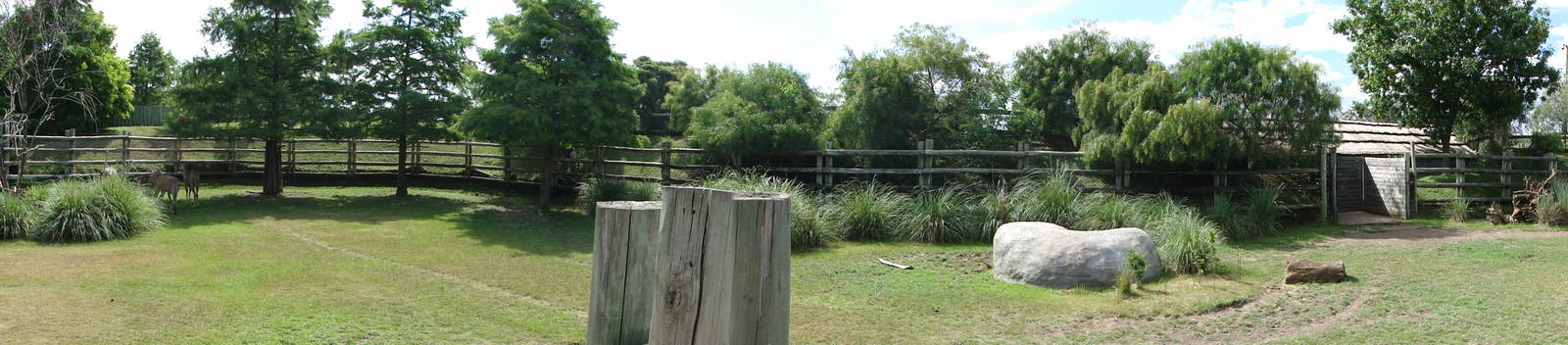 Greater Kudu exhibit