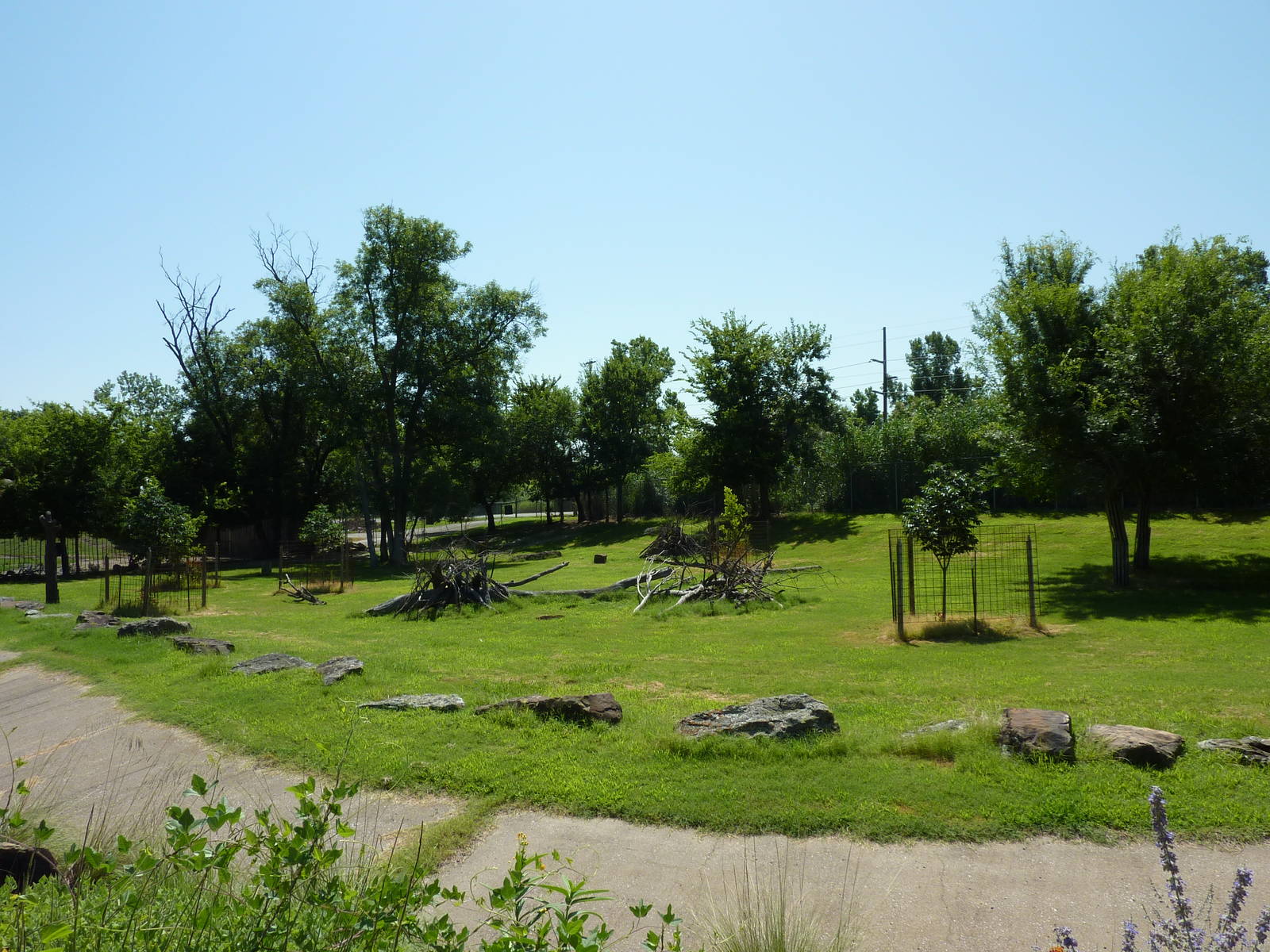 Greater Kudu Paddock