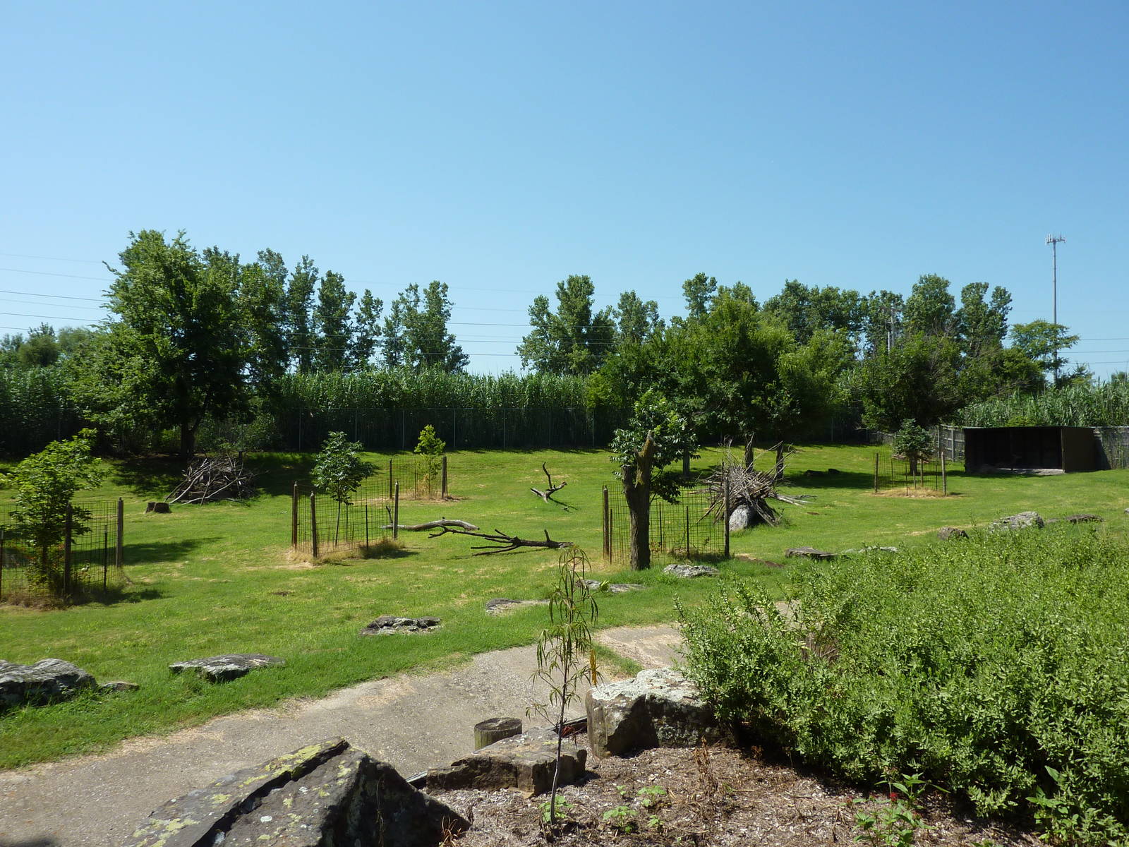 Greater Kudu Paddock
