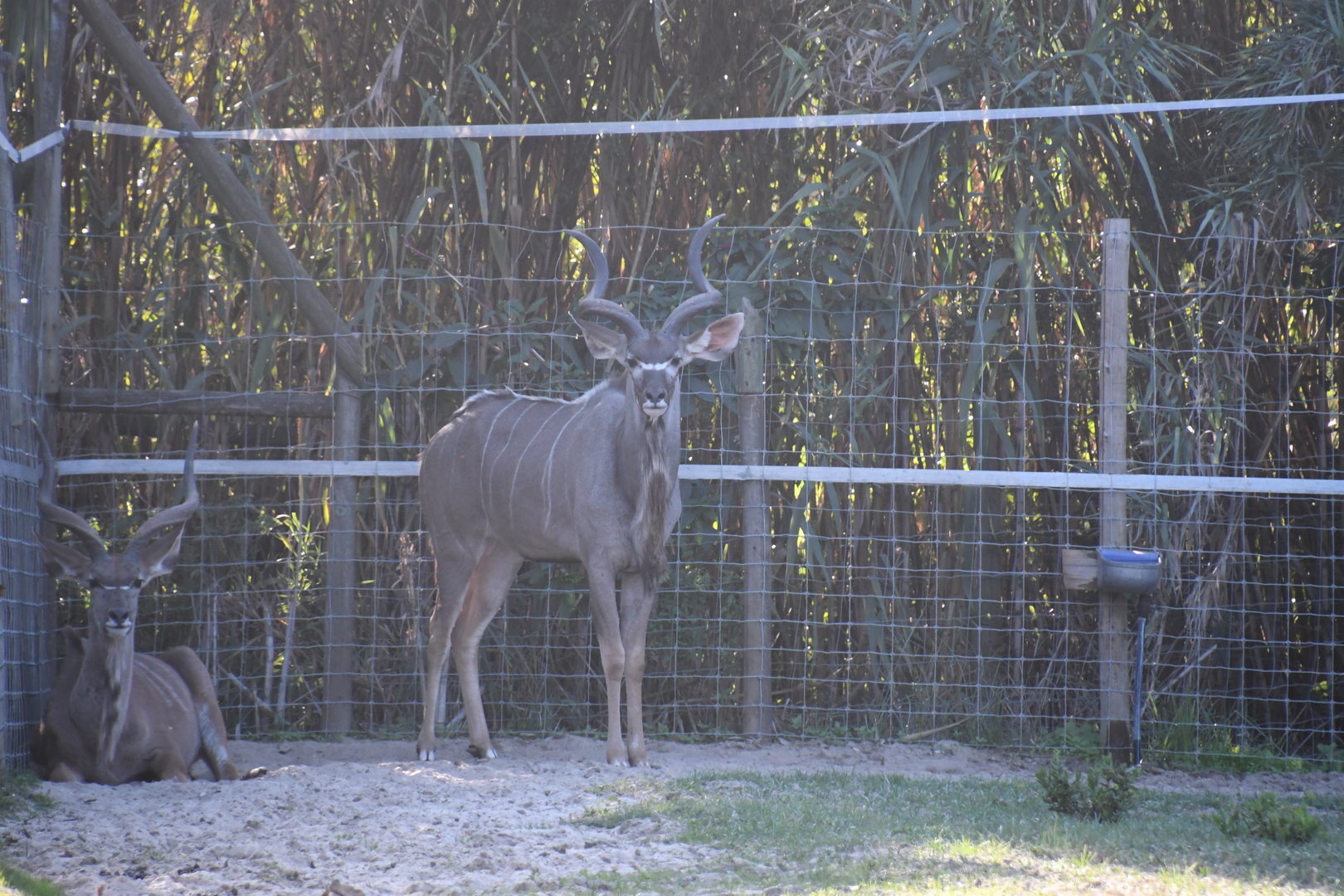 Greater Kudus
