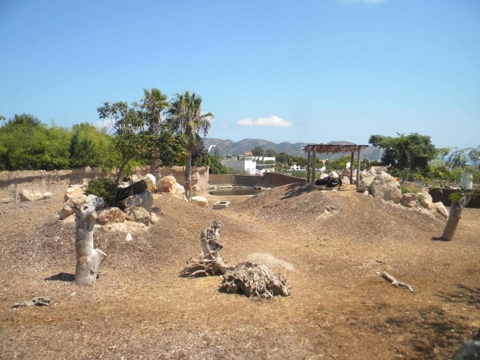 Greater one-horned Rhino area at Terra Natura 29/07/11