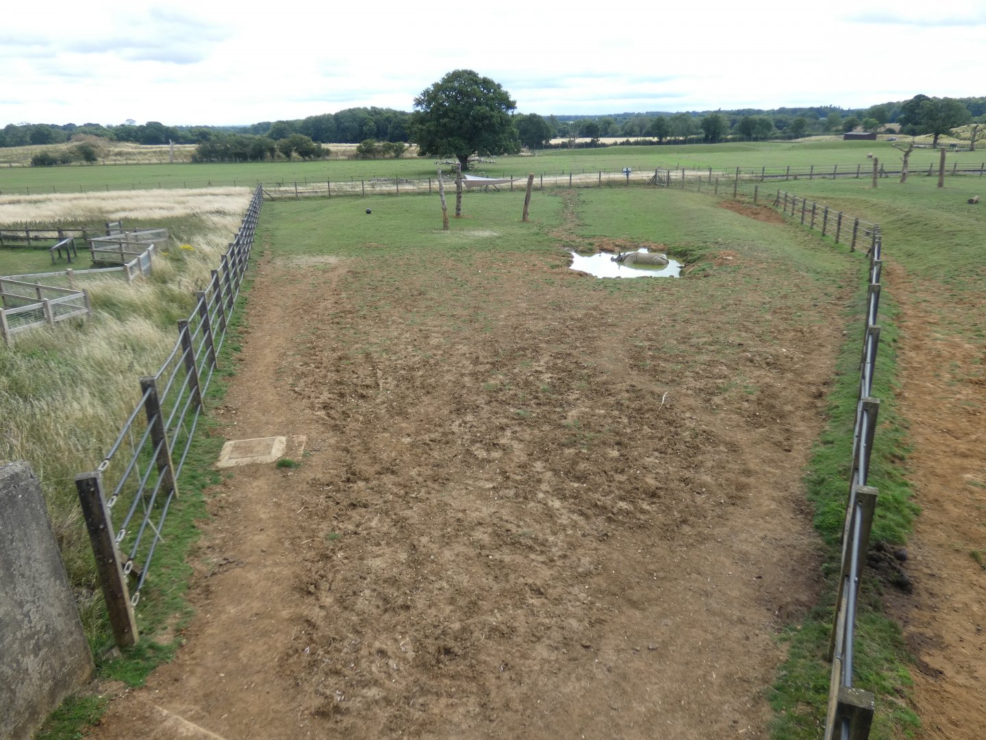 Greater One-horned Rhino enclosure (3)